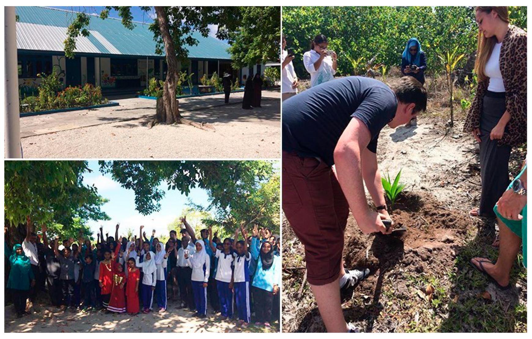 Sustainability 17 01108 g004