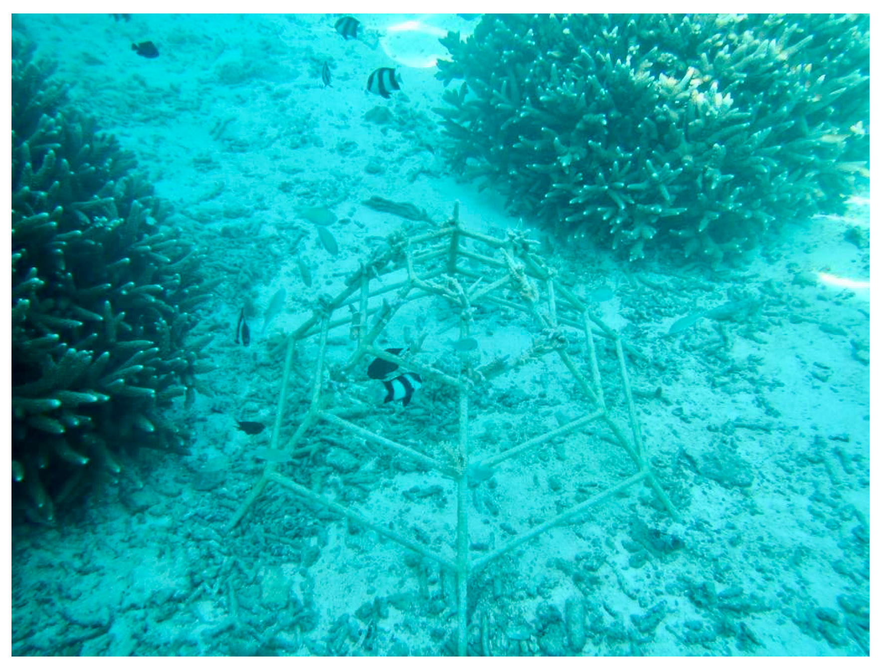 Sustainability 17 01108 g005