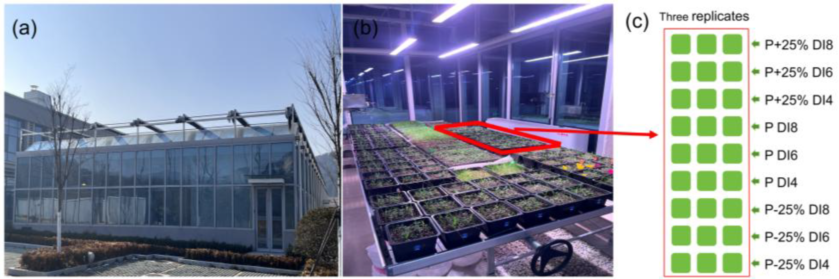 Sustainability 17 01142 g002