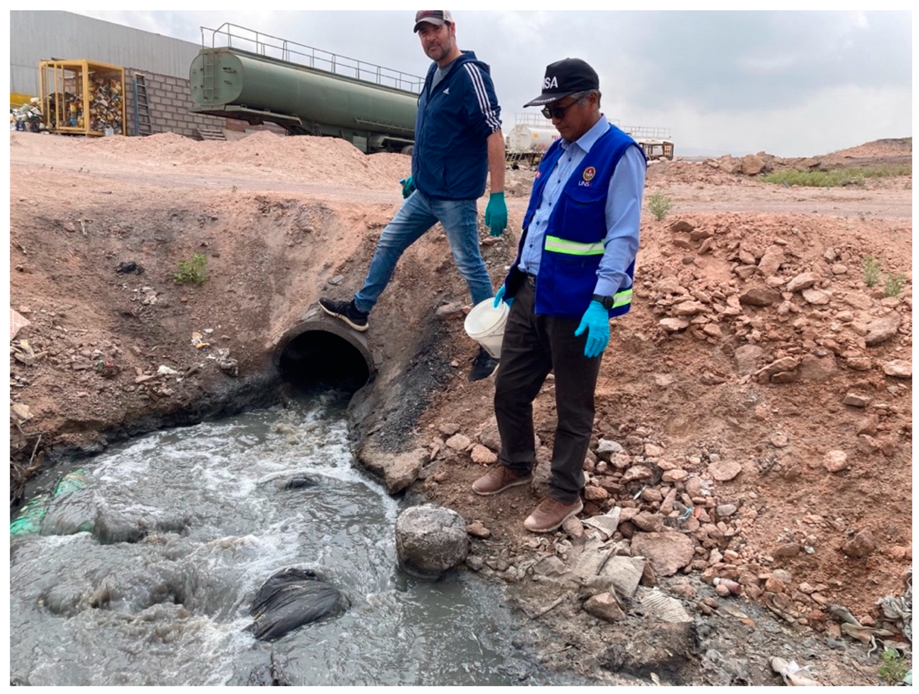 Sustainability 17 01183 g001