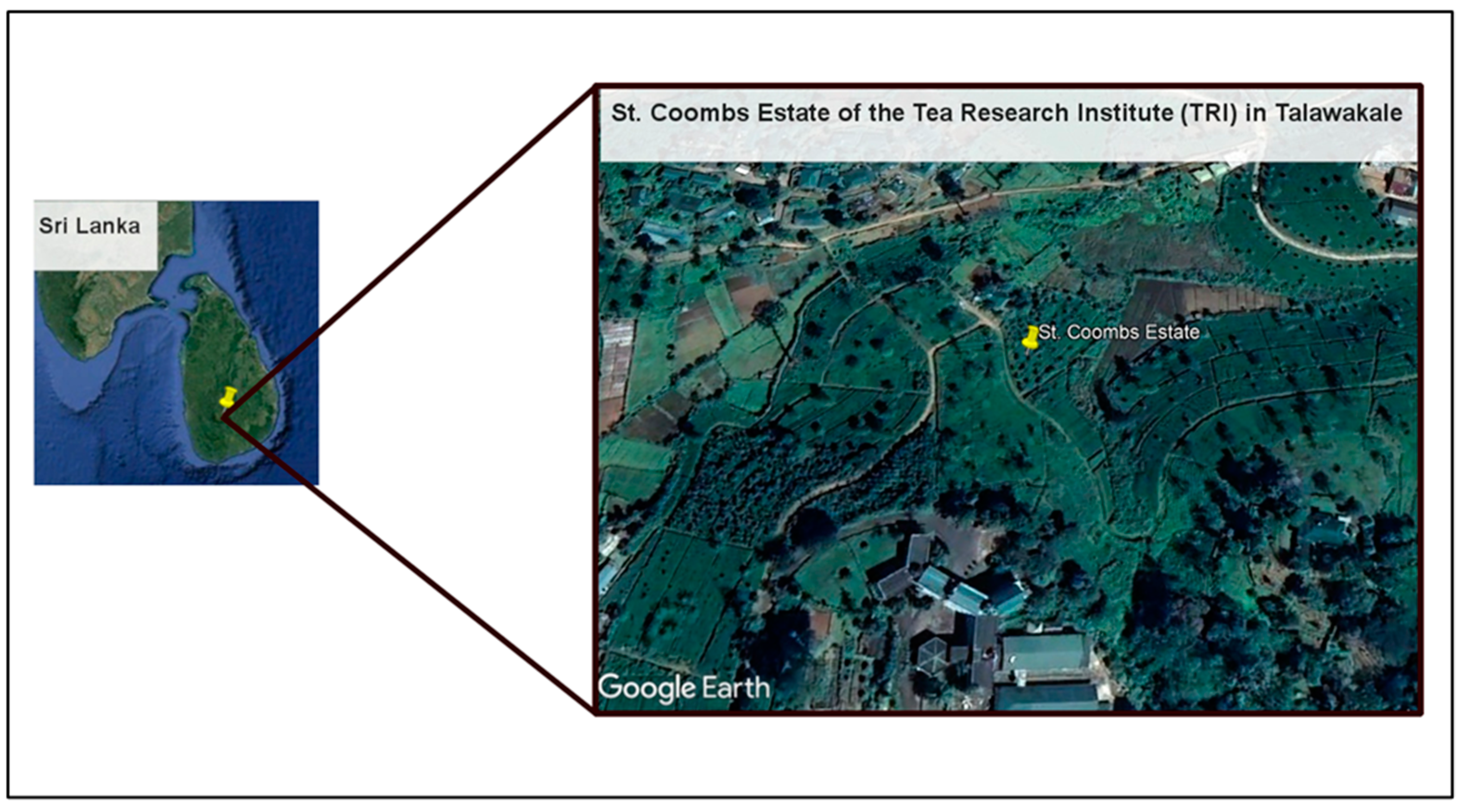 Sustainability 17 01184 g001