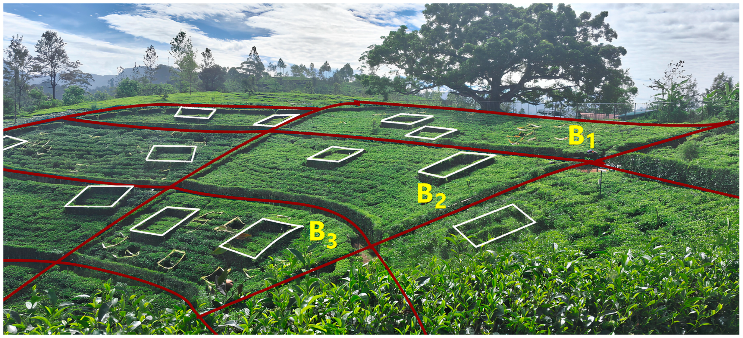 Sustainability 17 01184 g002