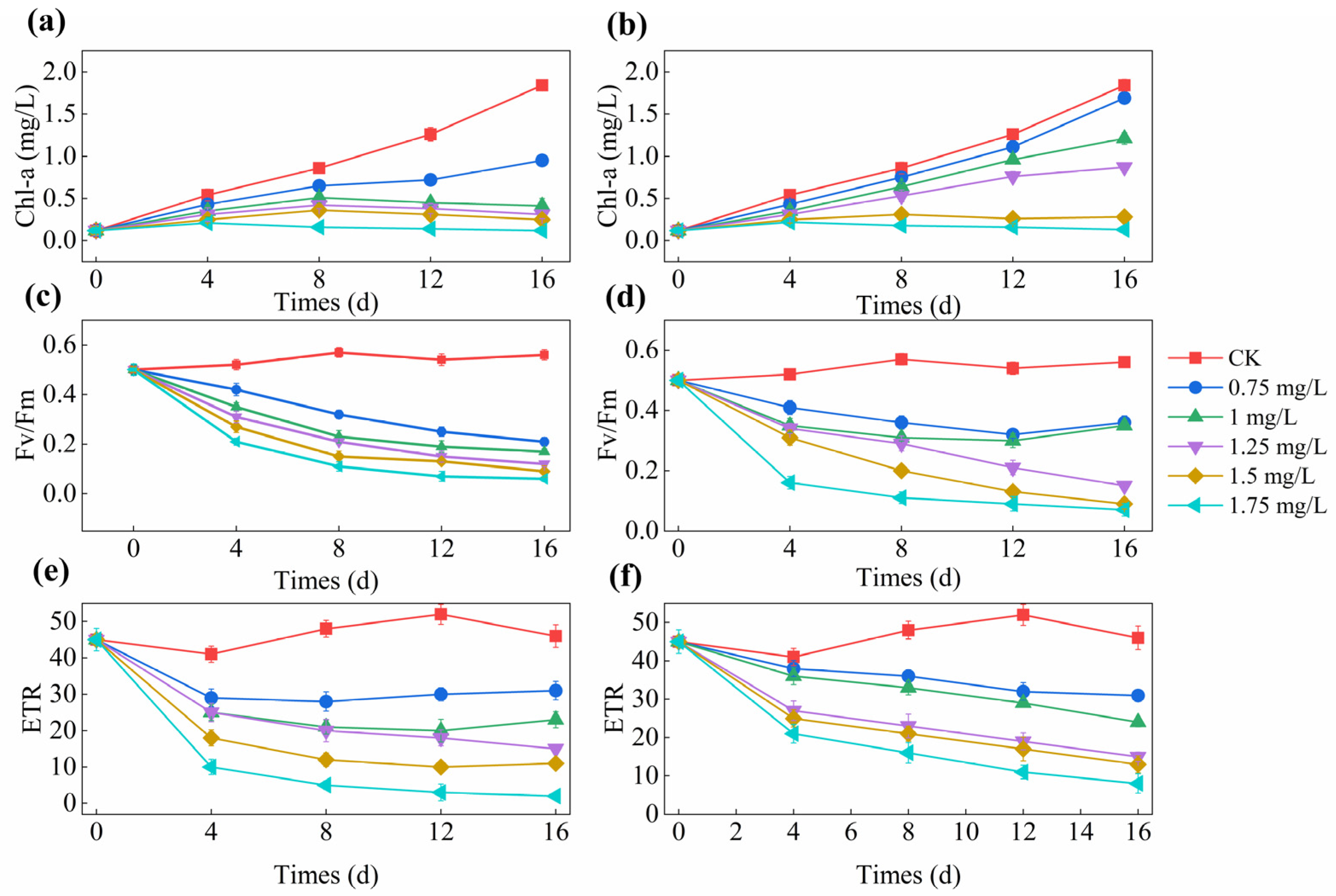 Sustainability 17 01207 g005
