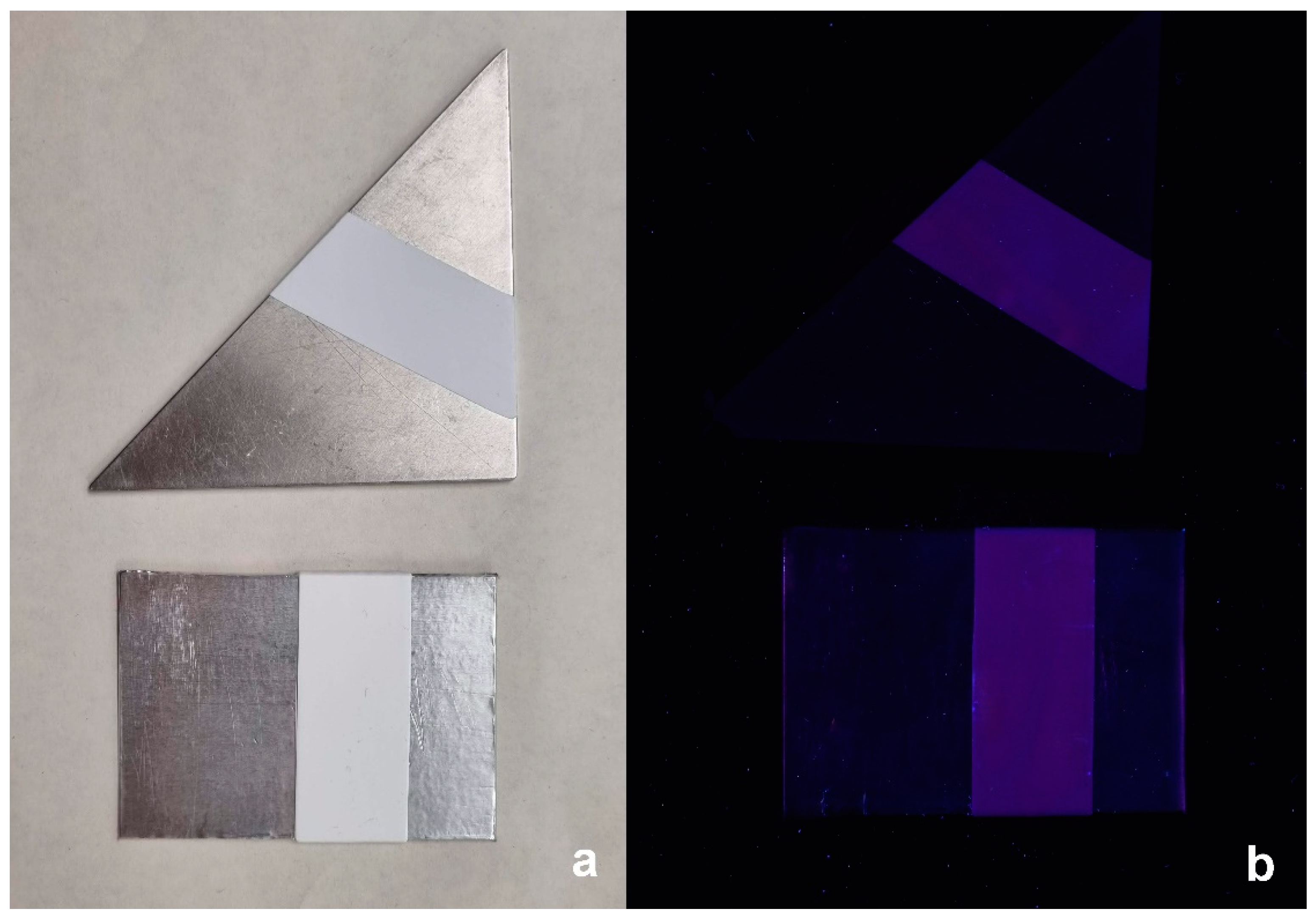 Sustainability 17 01208 g001