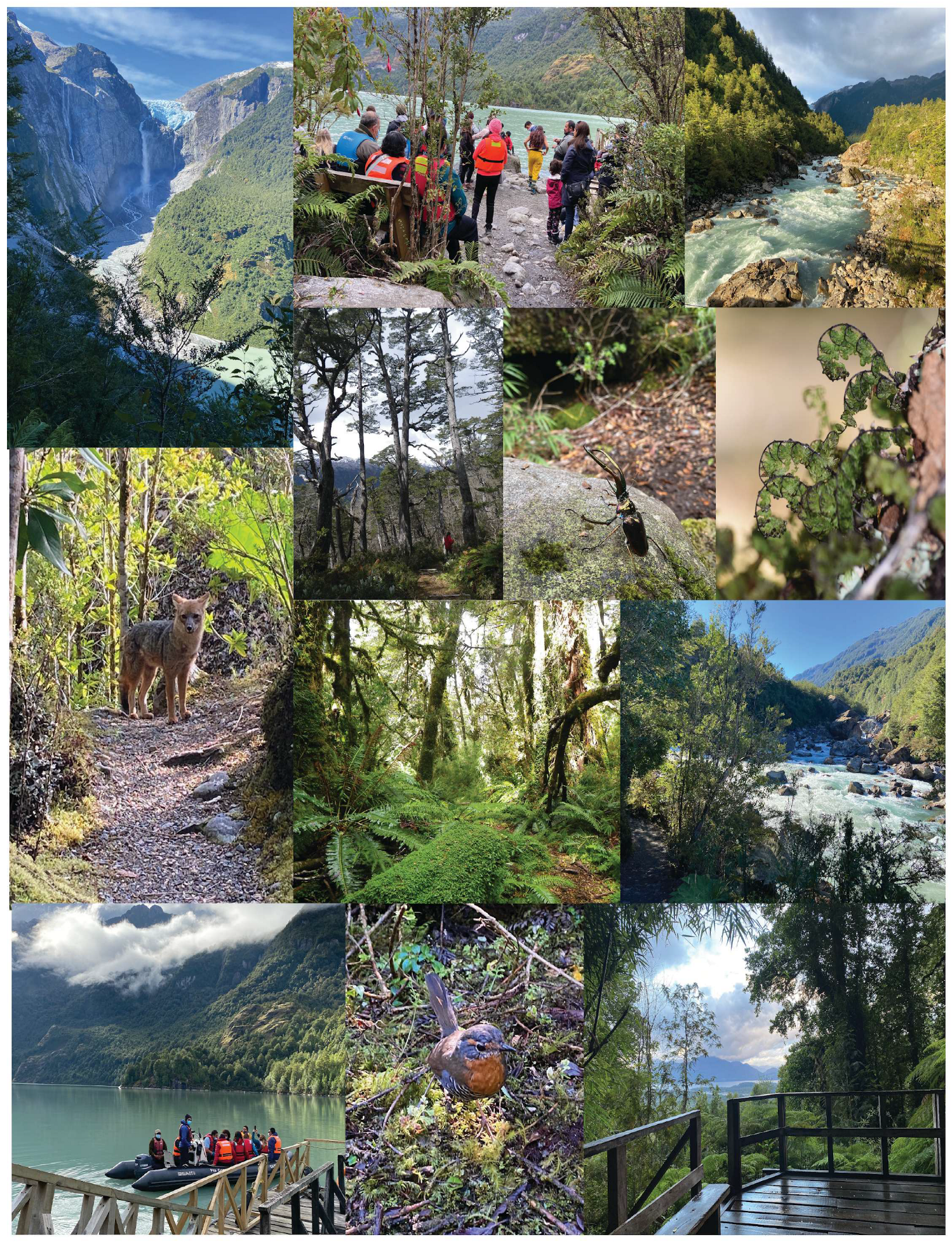 Sustainability 17 01236 g001