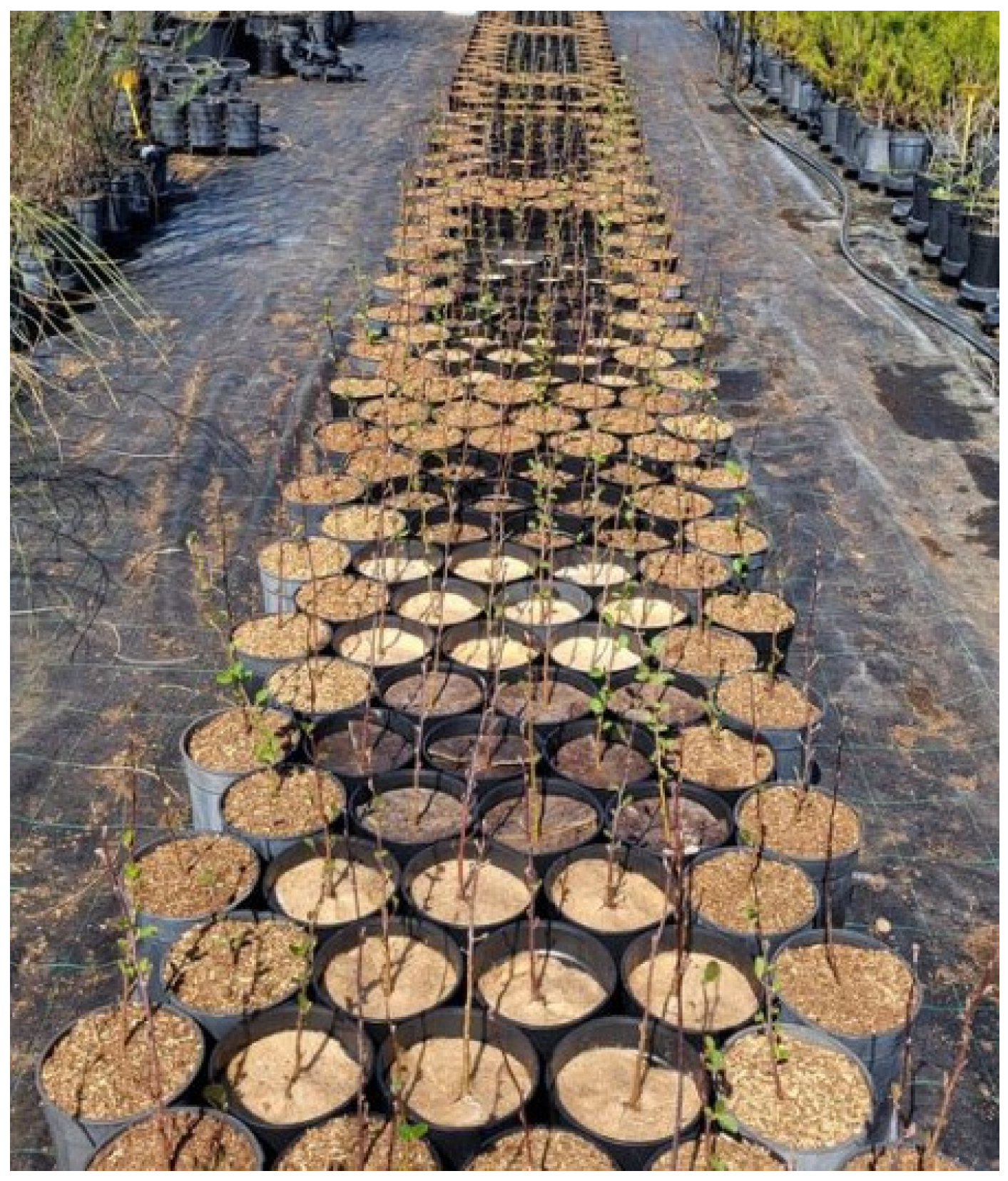 Sustainability 17 01265 g002