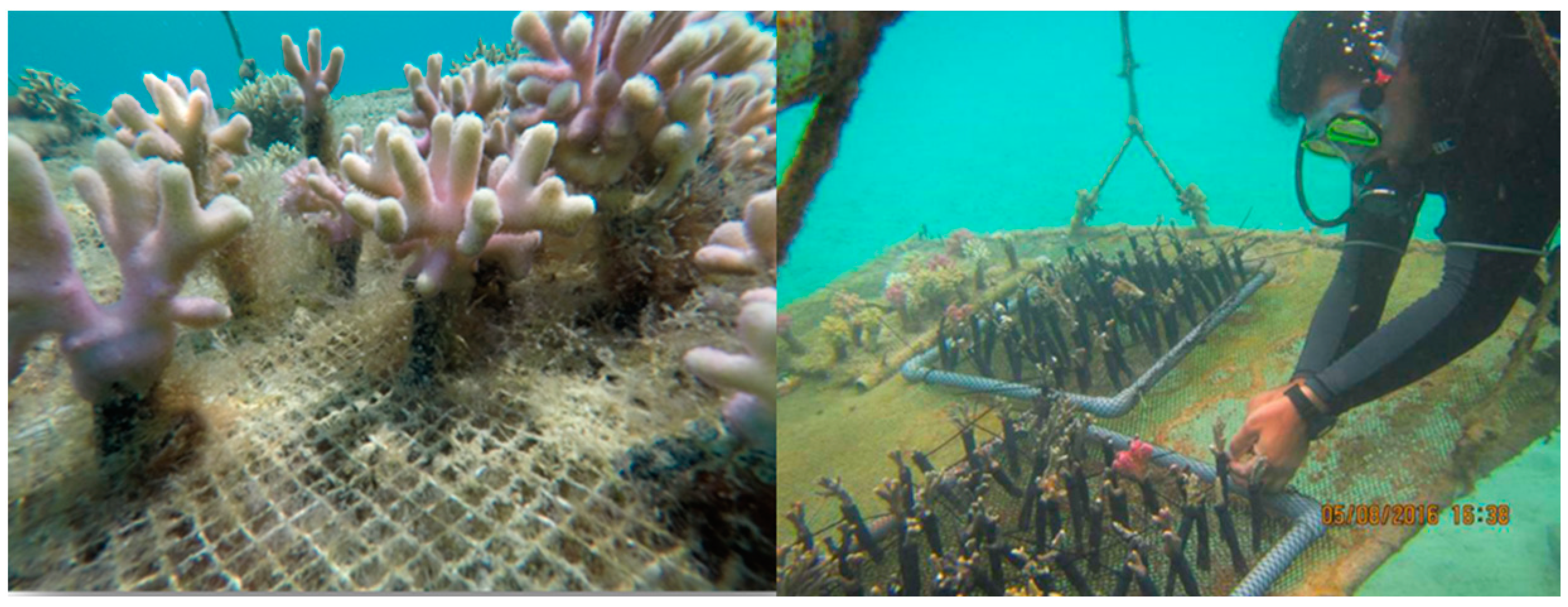 Sustainability 17 01279 g008