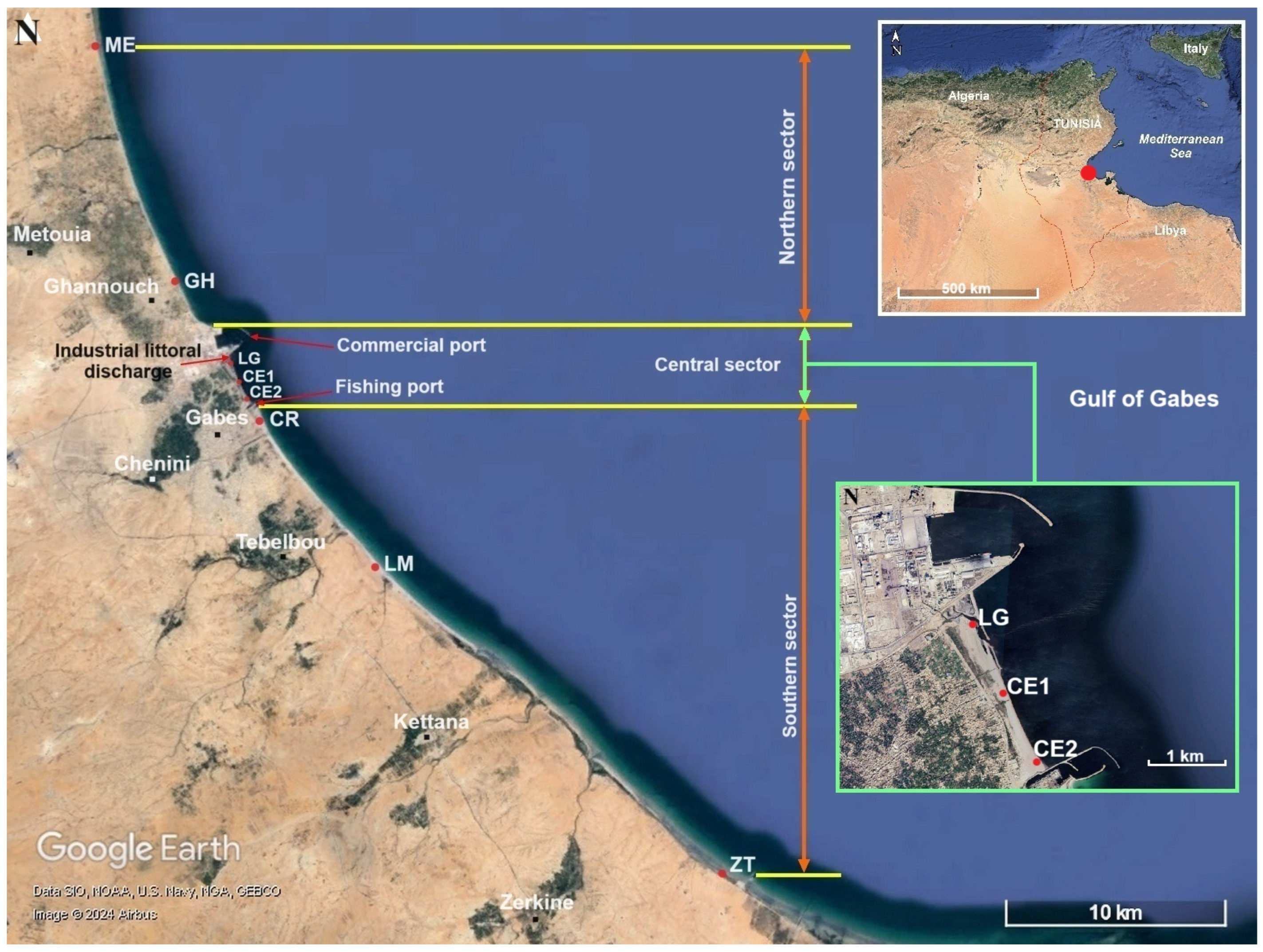 Sustainability 17 01283 g001