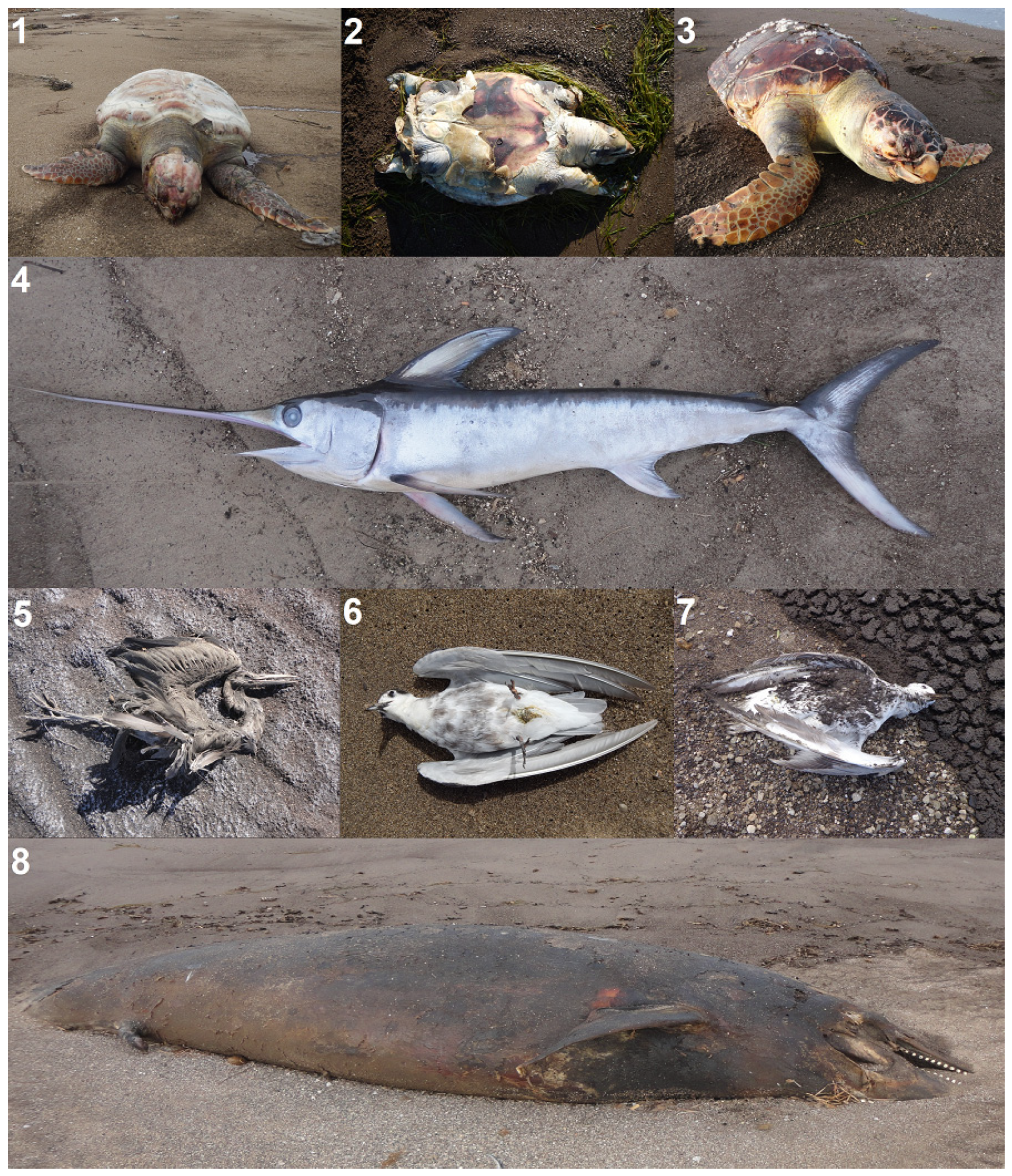 Sustainability 17 01283 g006