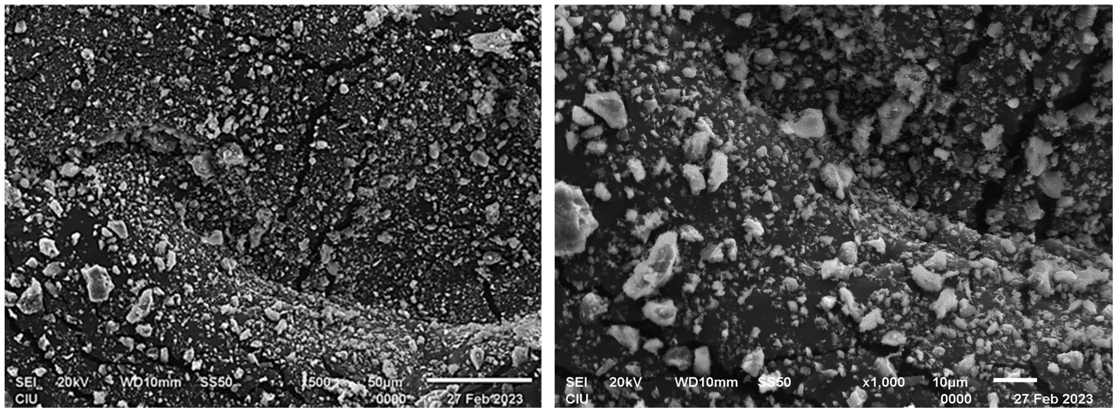 Sustainability 17 01298 g002