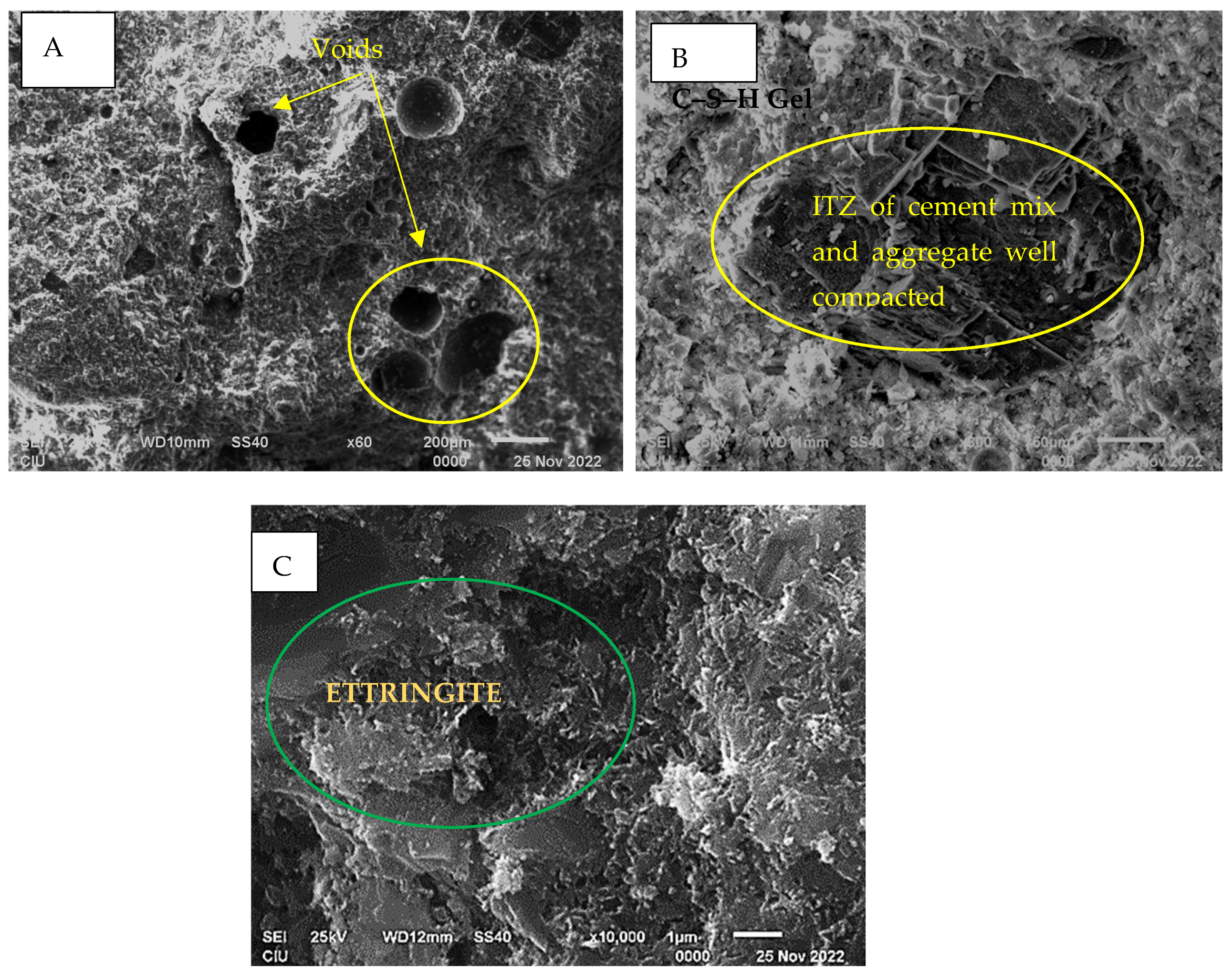 Sustainability 17 01298 g019