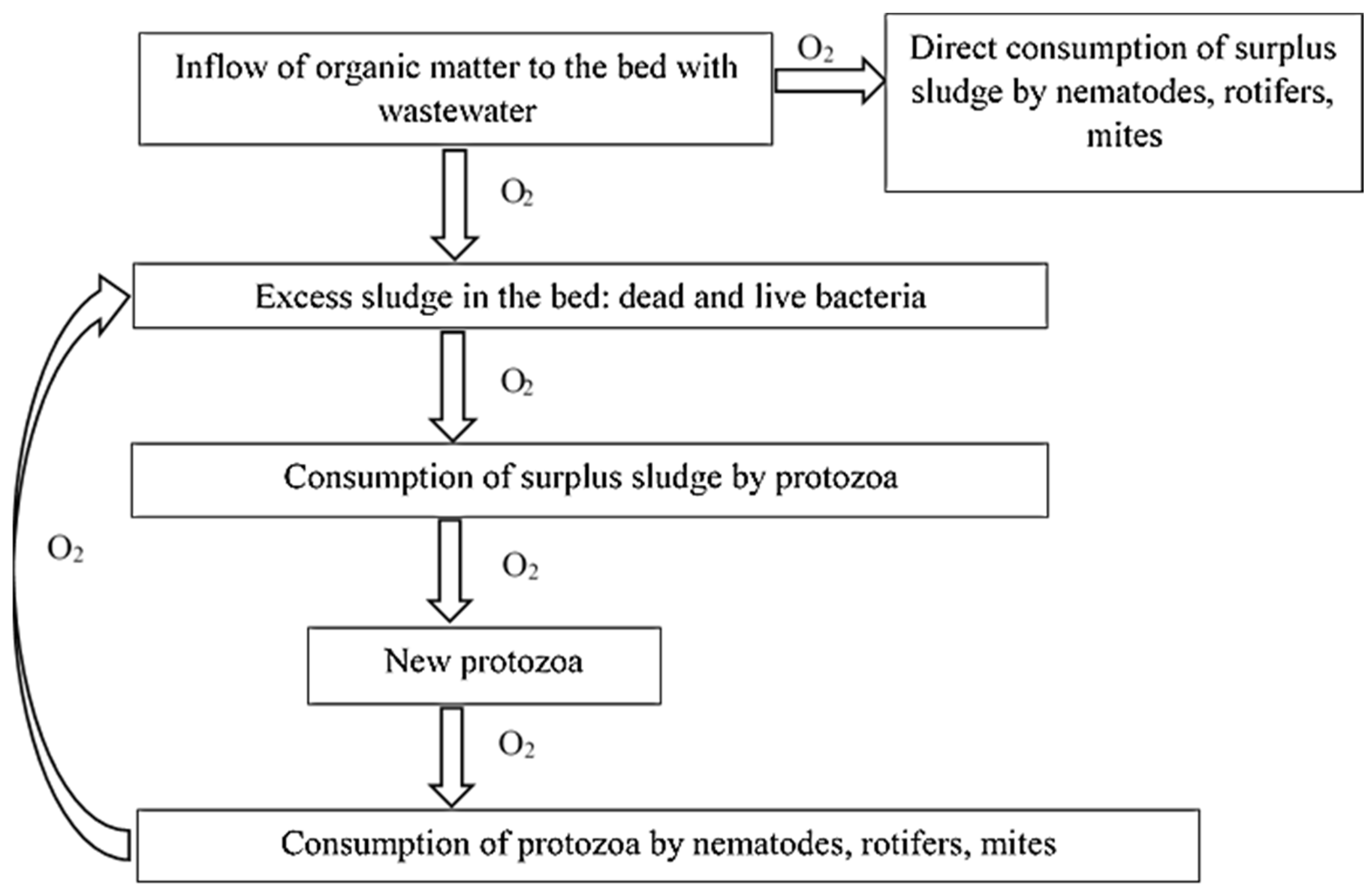 Sustainability 17 01329 g001
