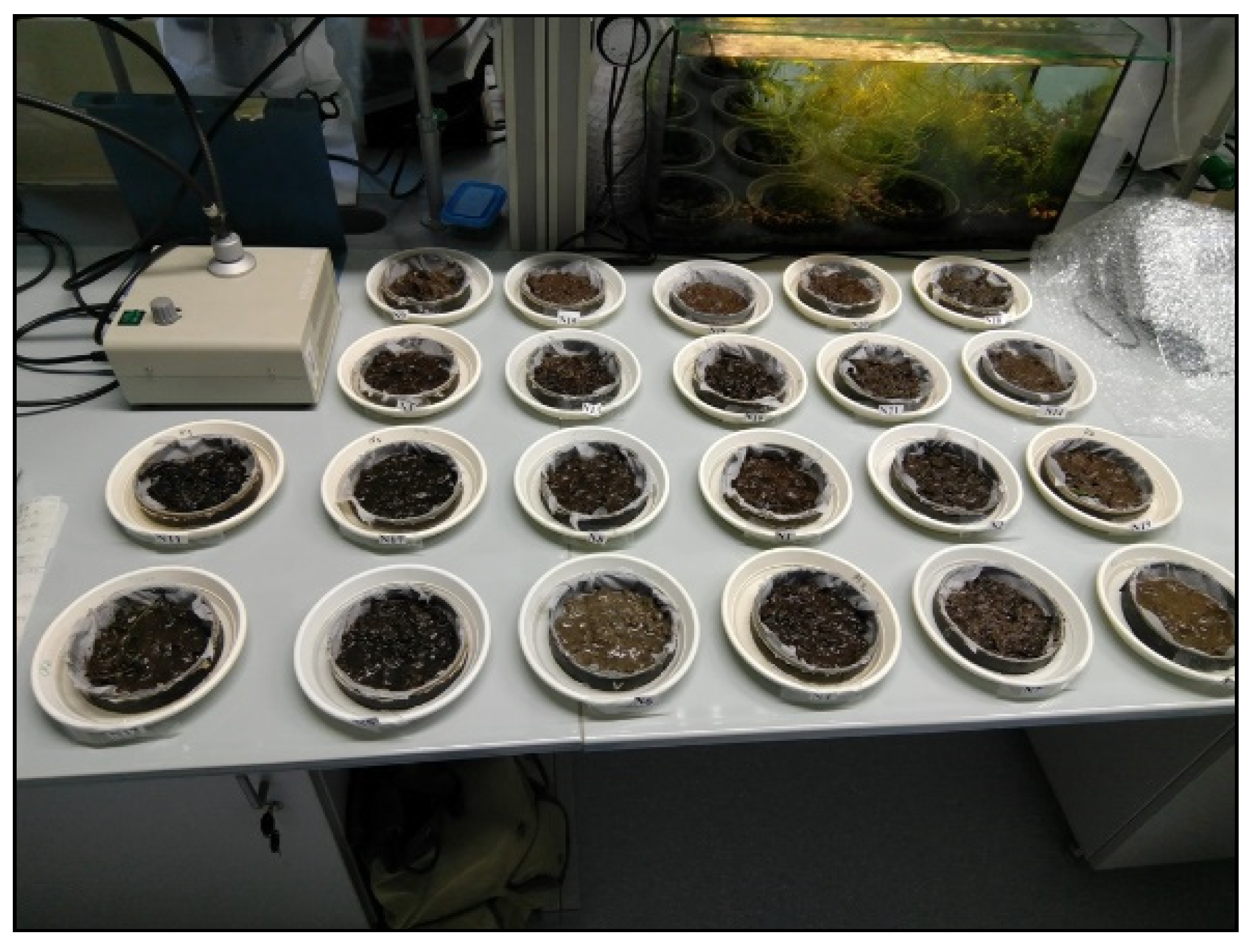 Sustainability 17 01329 g003