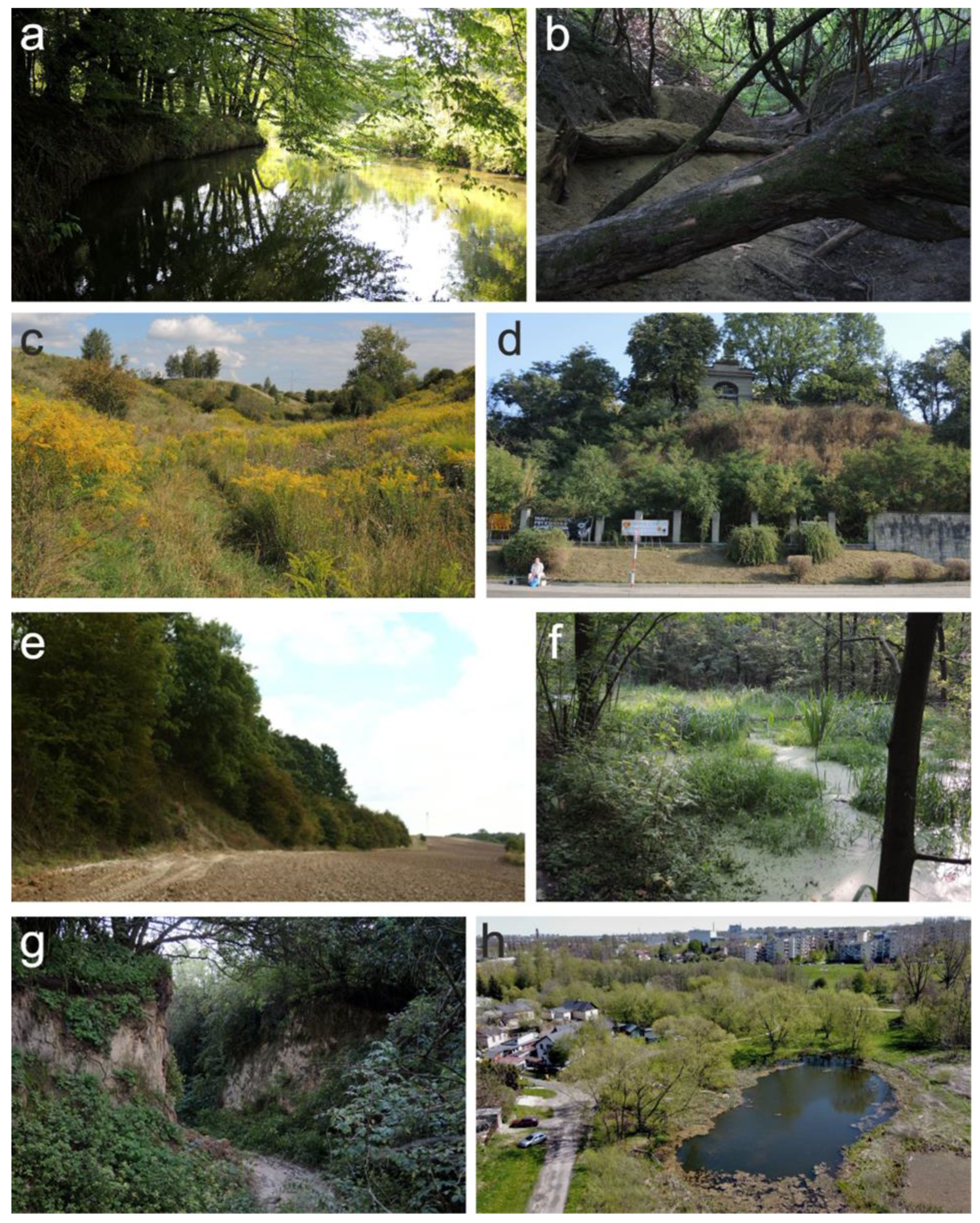 Sustainability 17 01349 g003