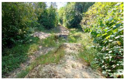 Sustainability 17 01349 i003