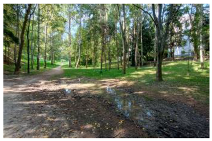 Sustainability 17 01349 i004