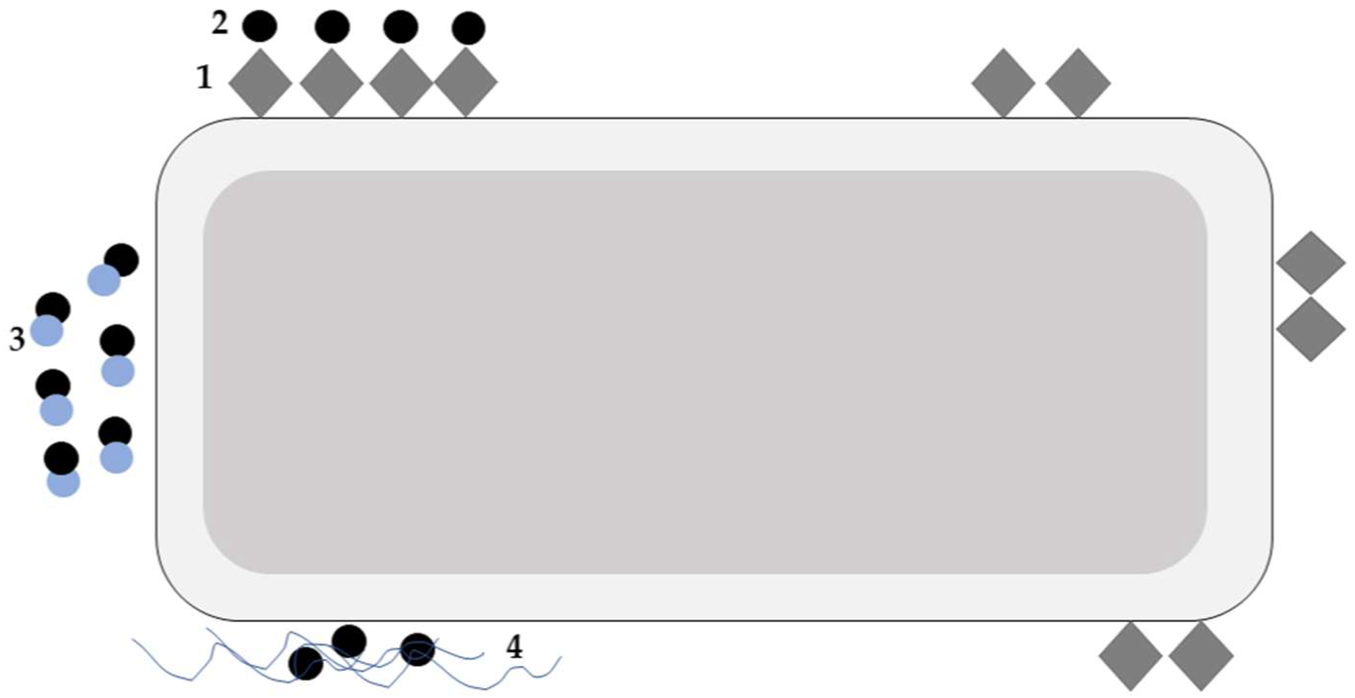 Sustainability 17 01386 g001