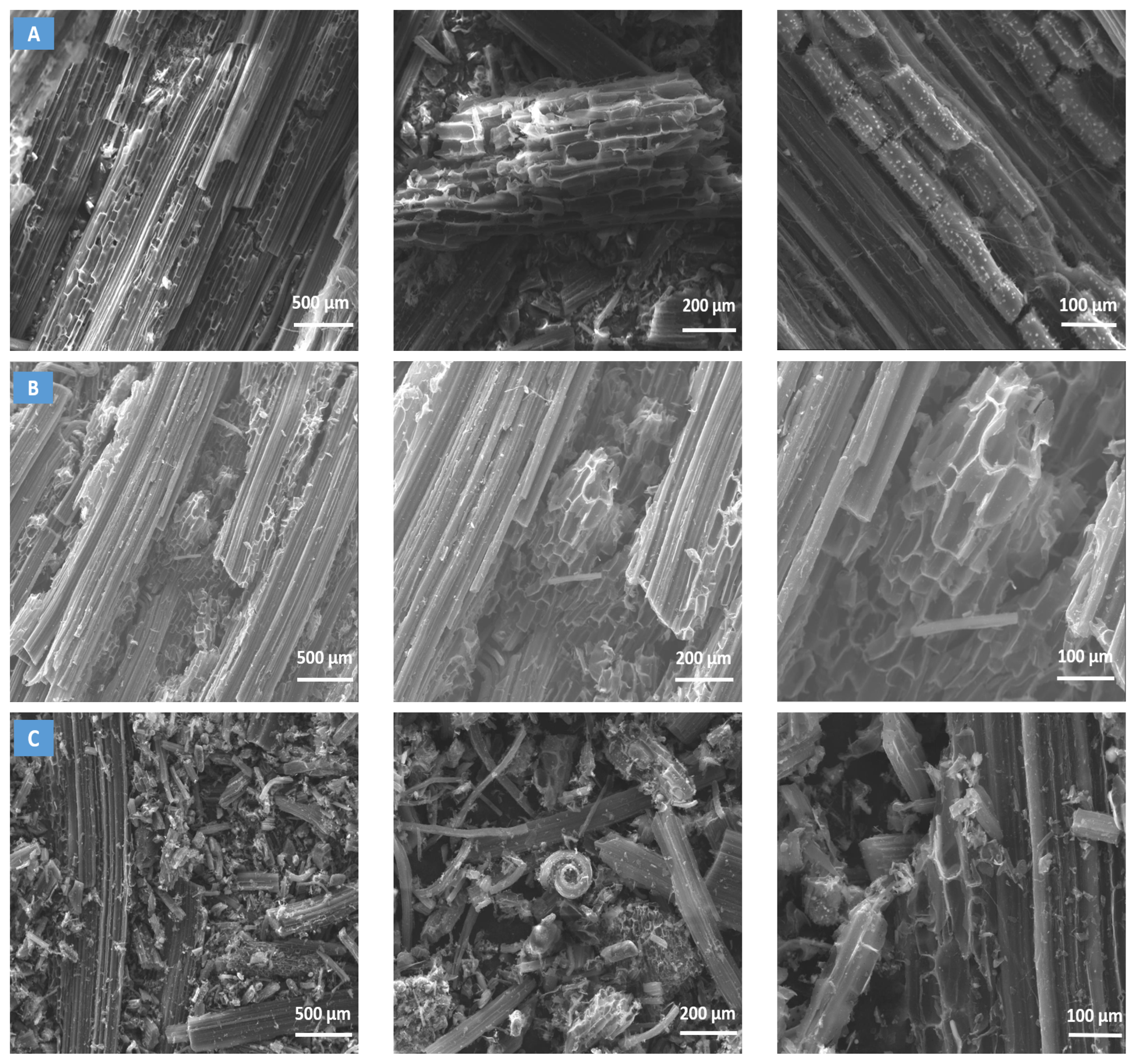 Sustainability 17 01445 g002