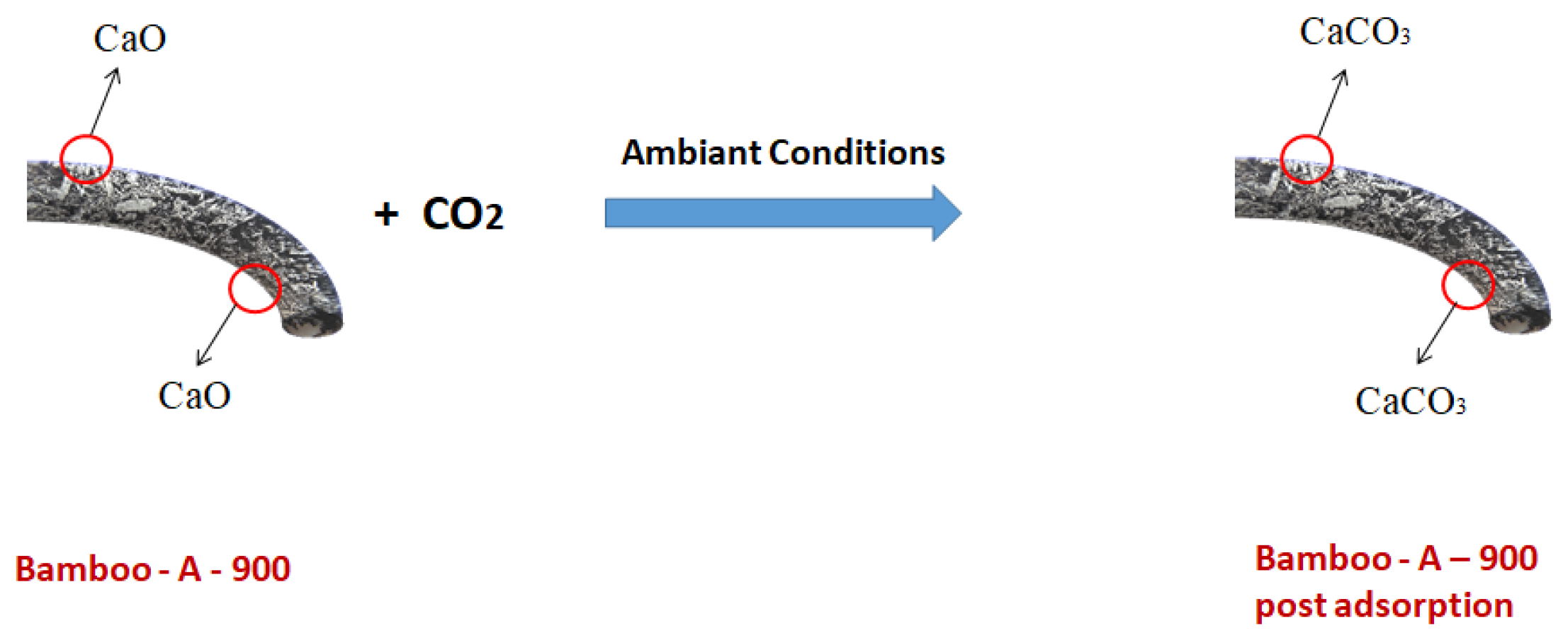 Sustainability 17 01445 g008