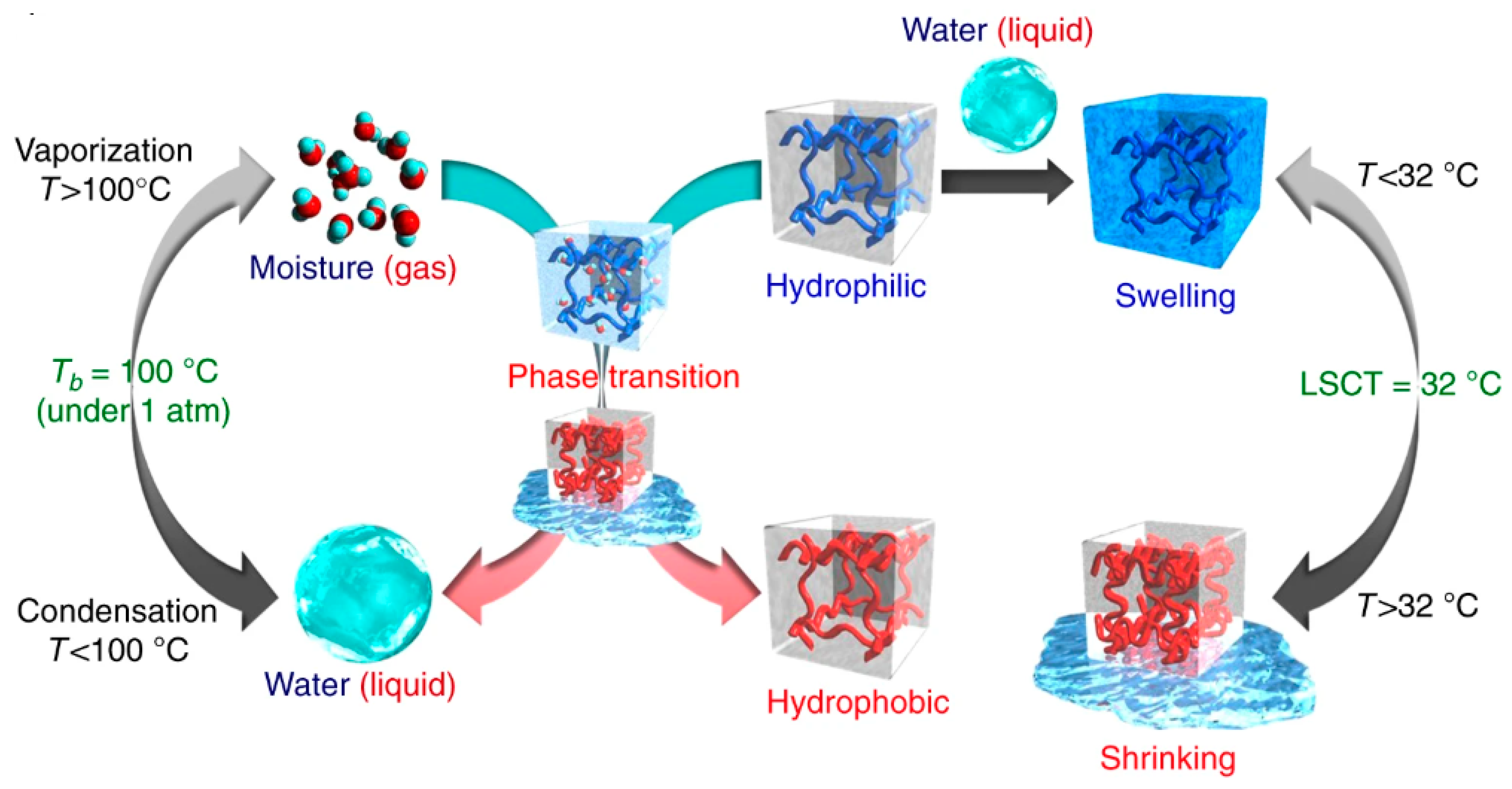 Sustainability 17 01462 g003