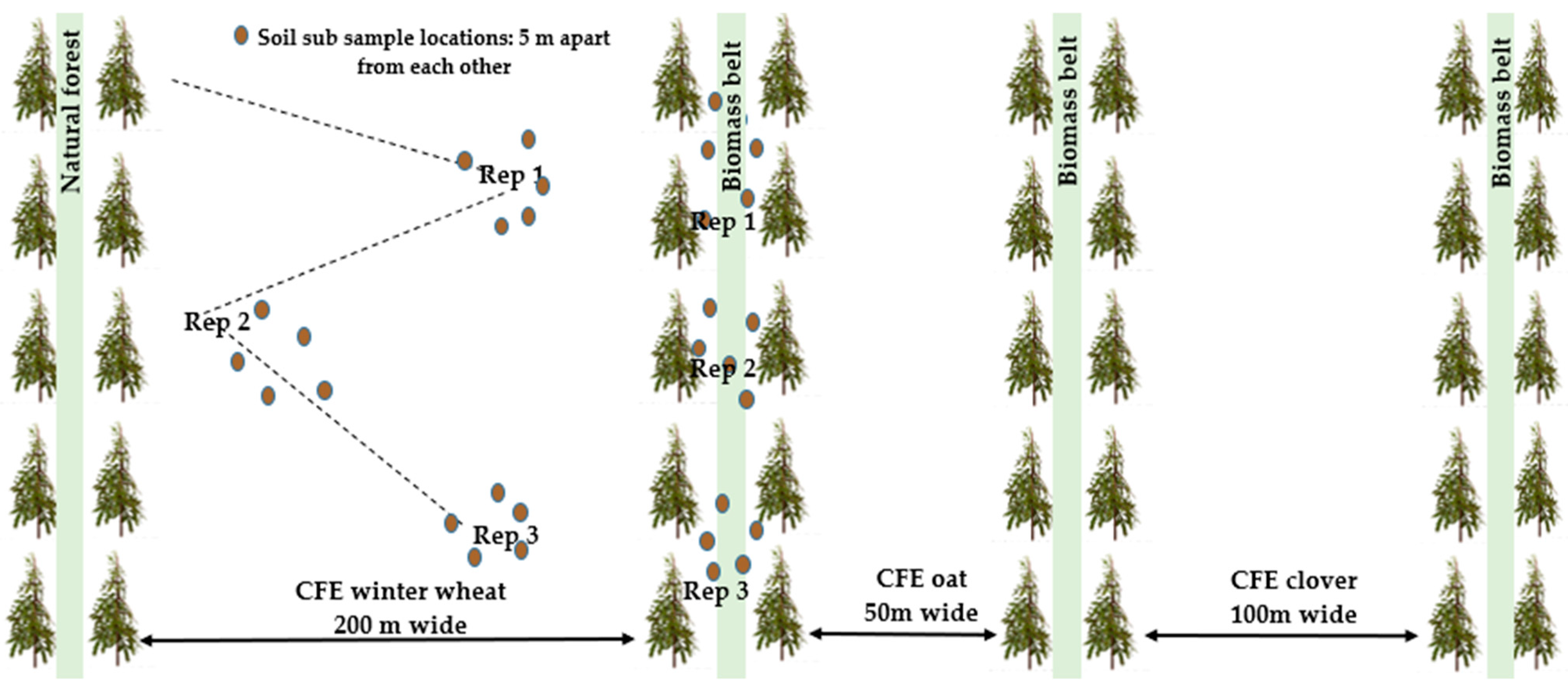 Sustainability 17 01466 g001