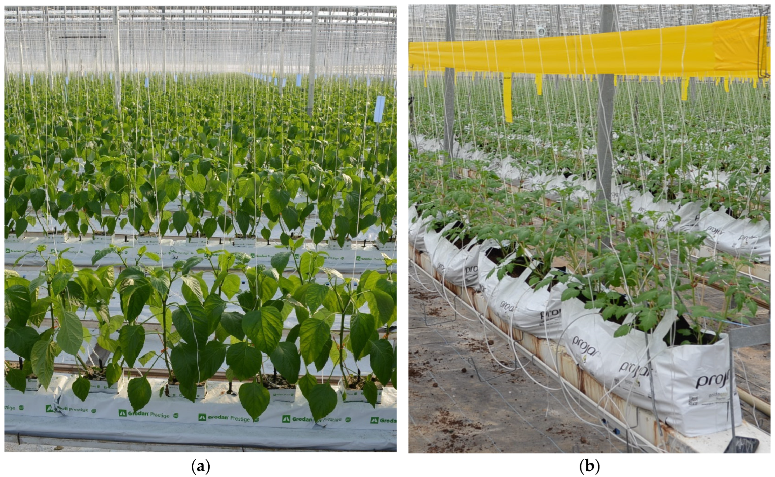 Sustainability 17 01476 g001