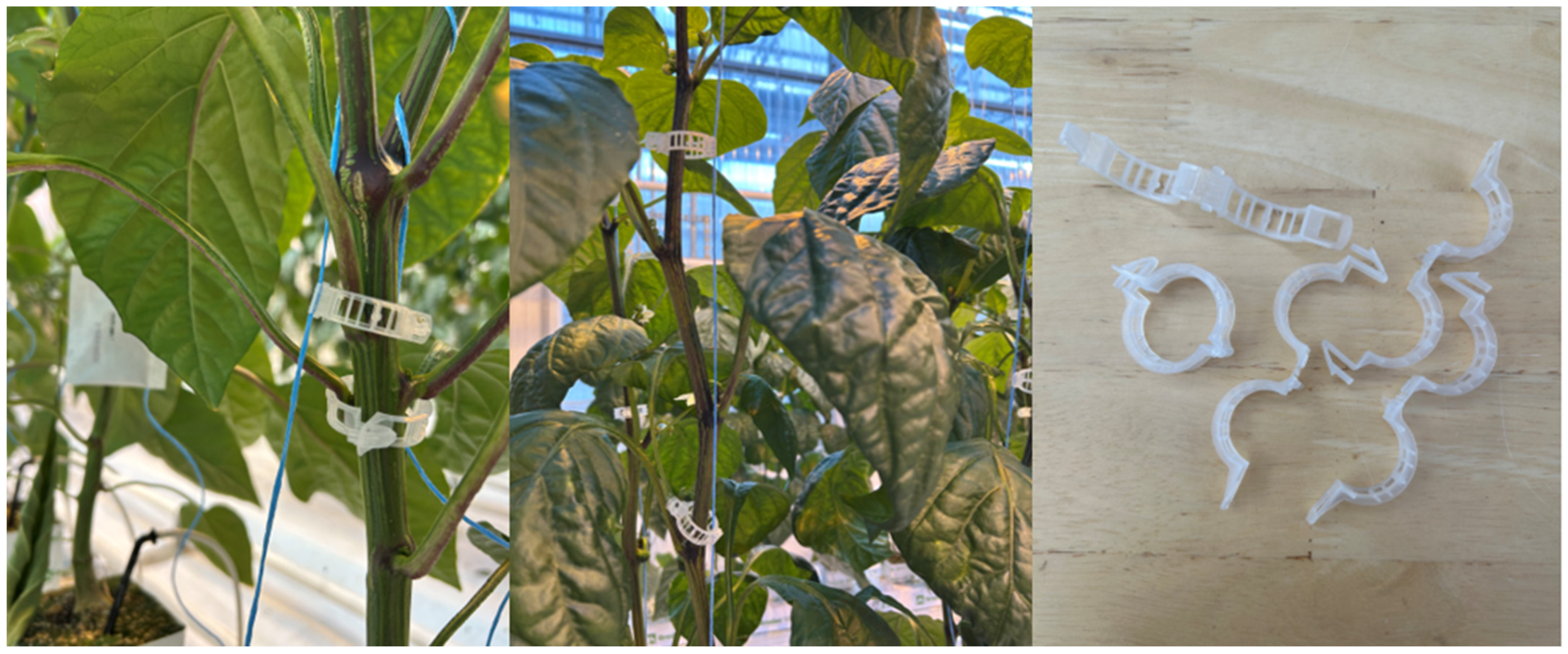 Sustainability 17 01476 g002