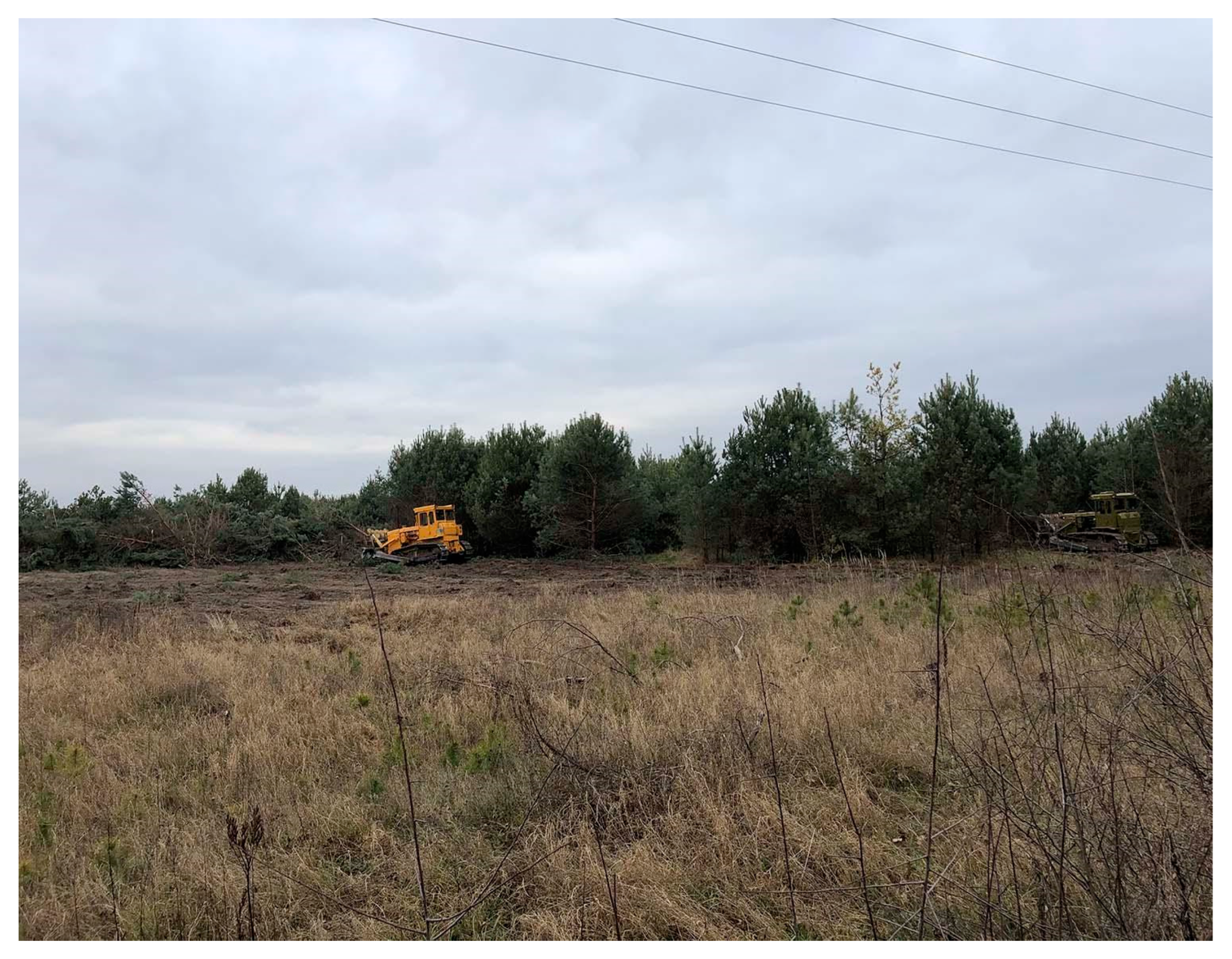 Sustainability 17 01517 g002