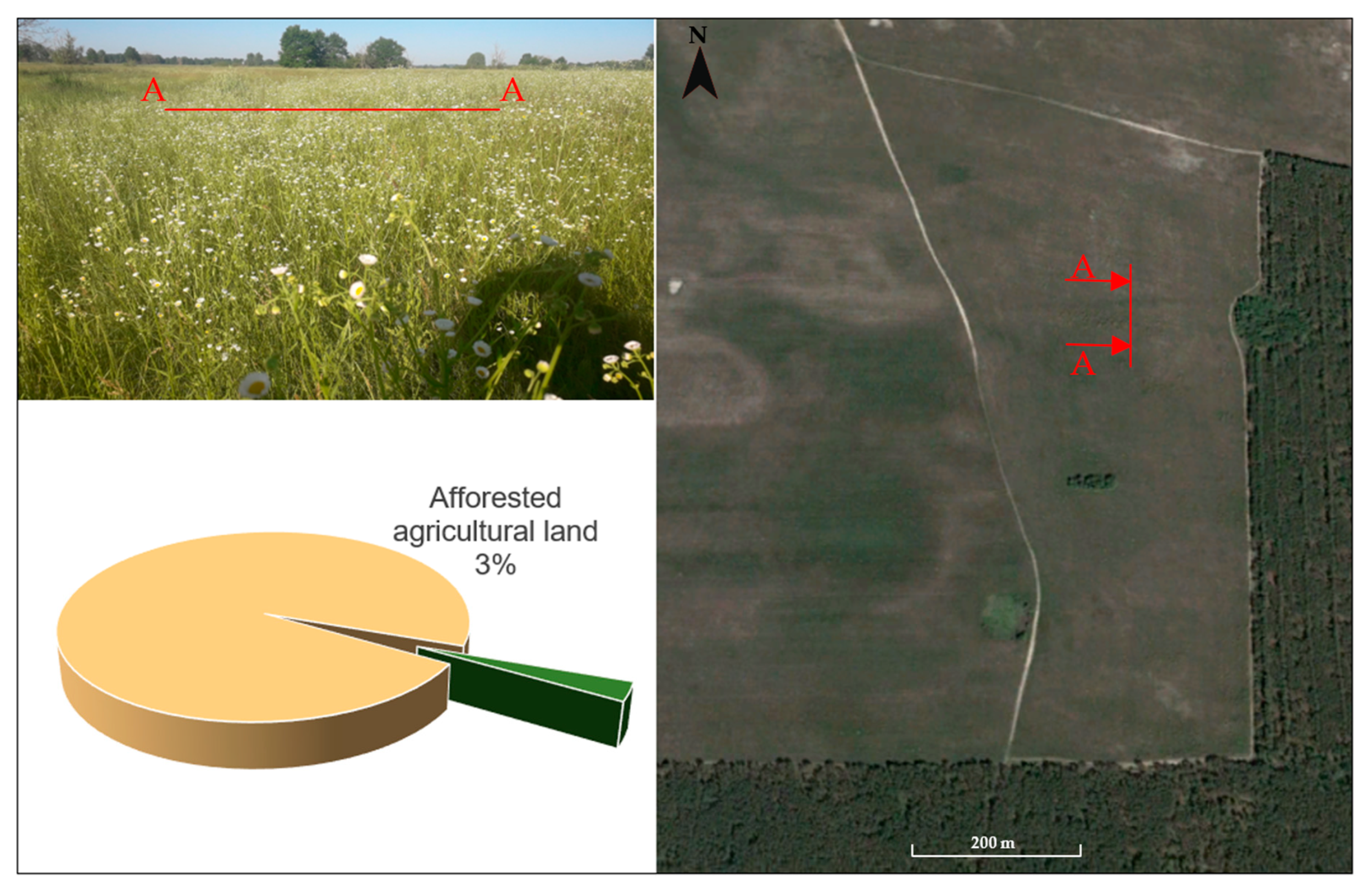 Sustainability 17 01517 g009