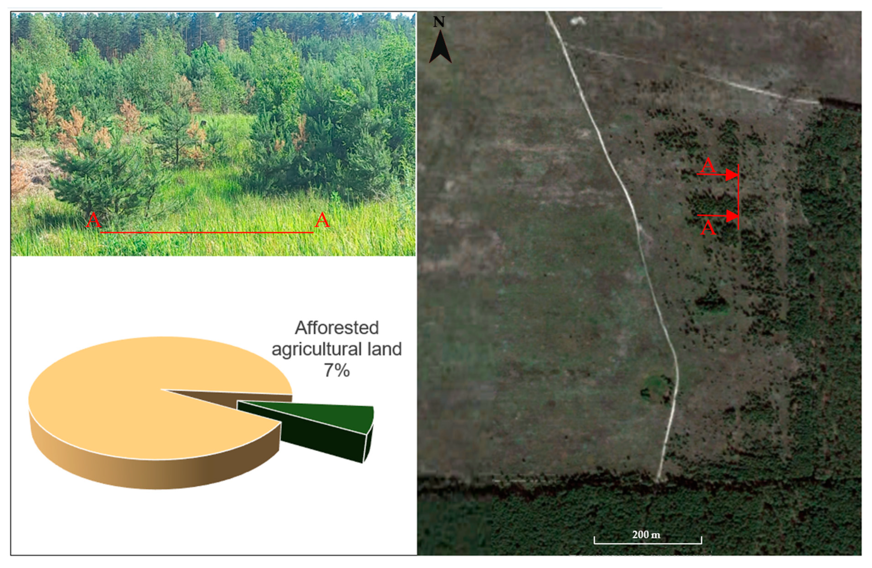 Sustainability 17 01517 g010