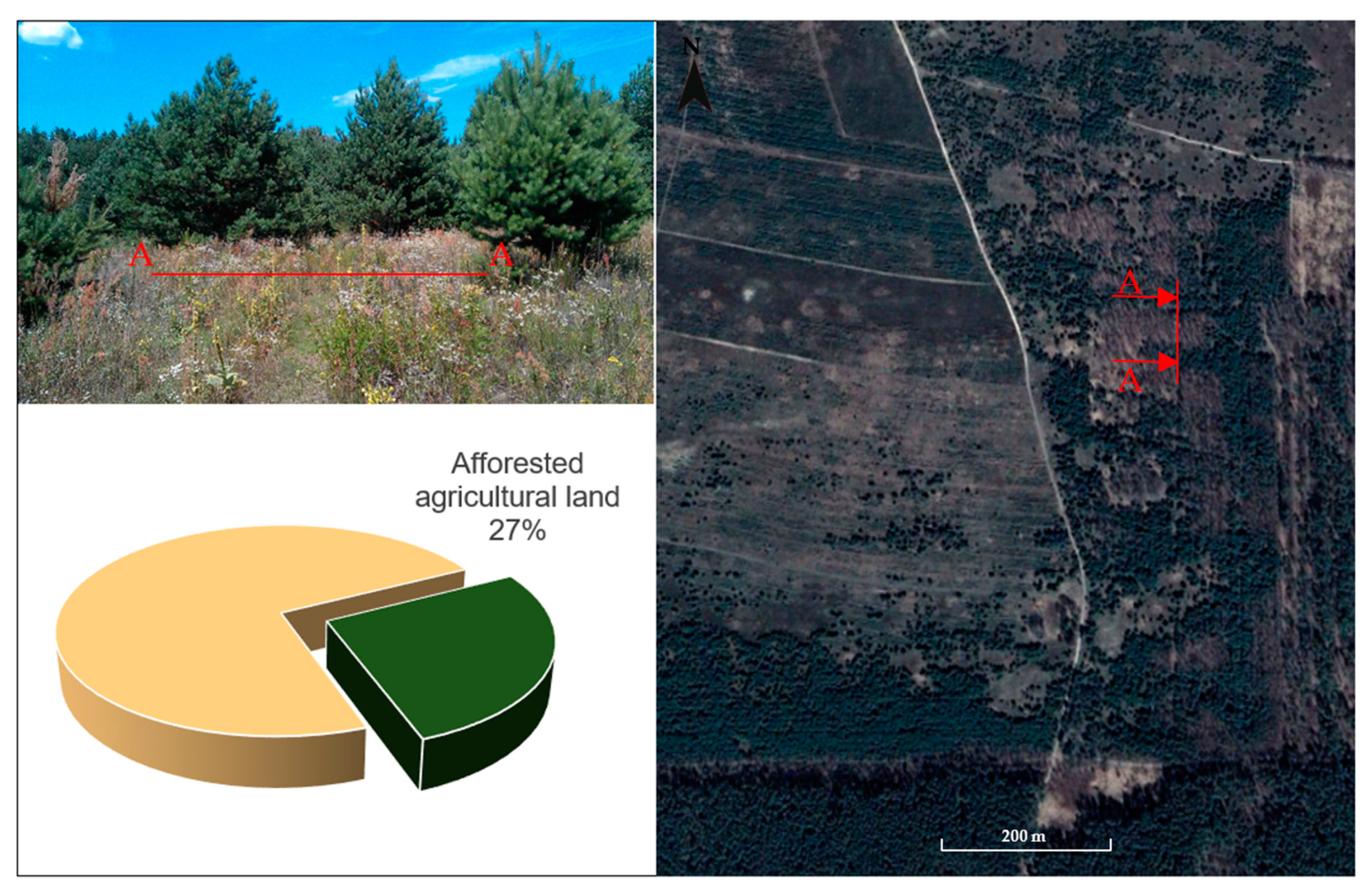 Sustainability 17 01517 g011