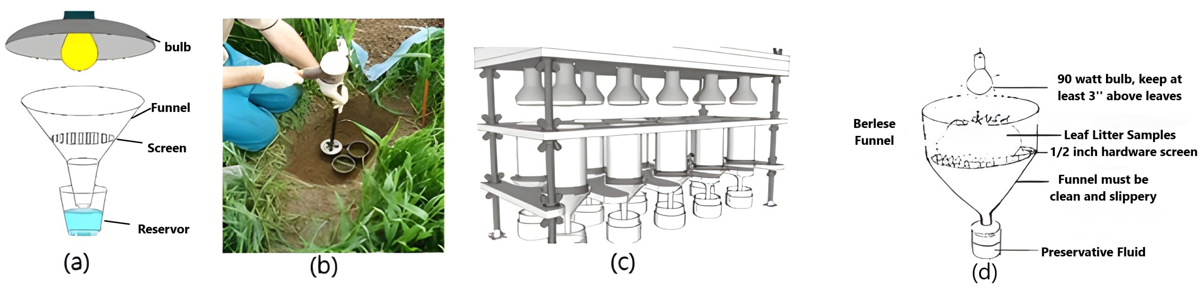 Sustainability 17 01524 g002