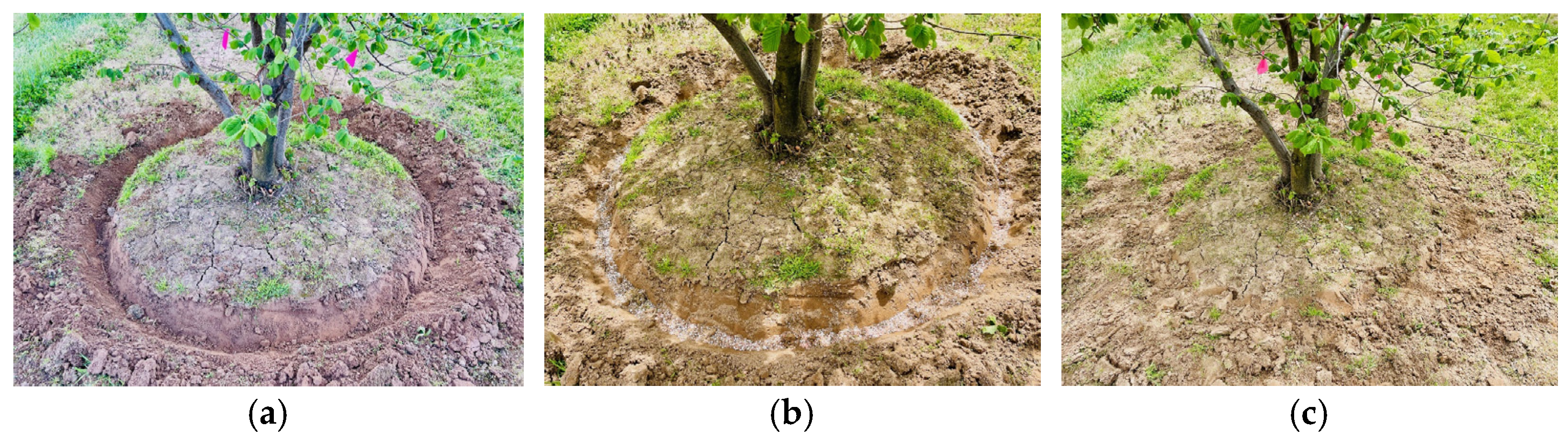 Sustainability 17 01543 g002