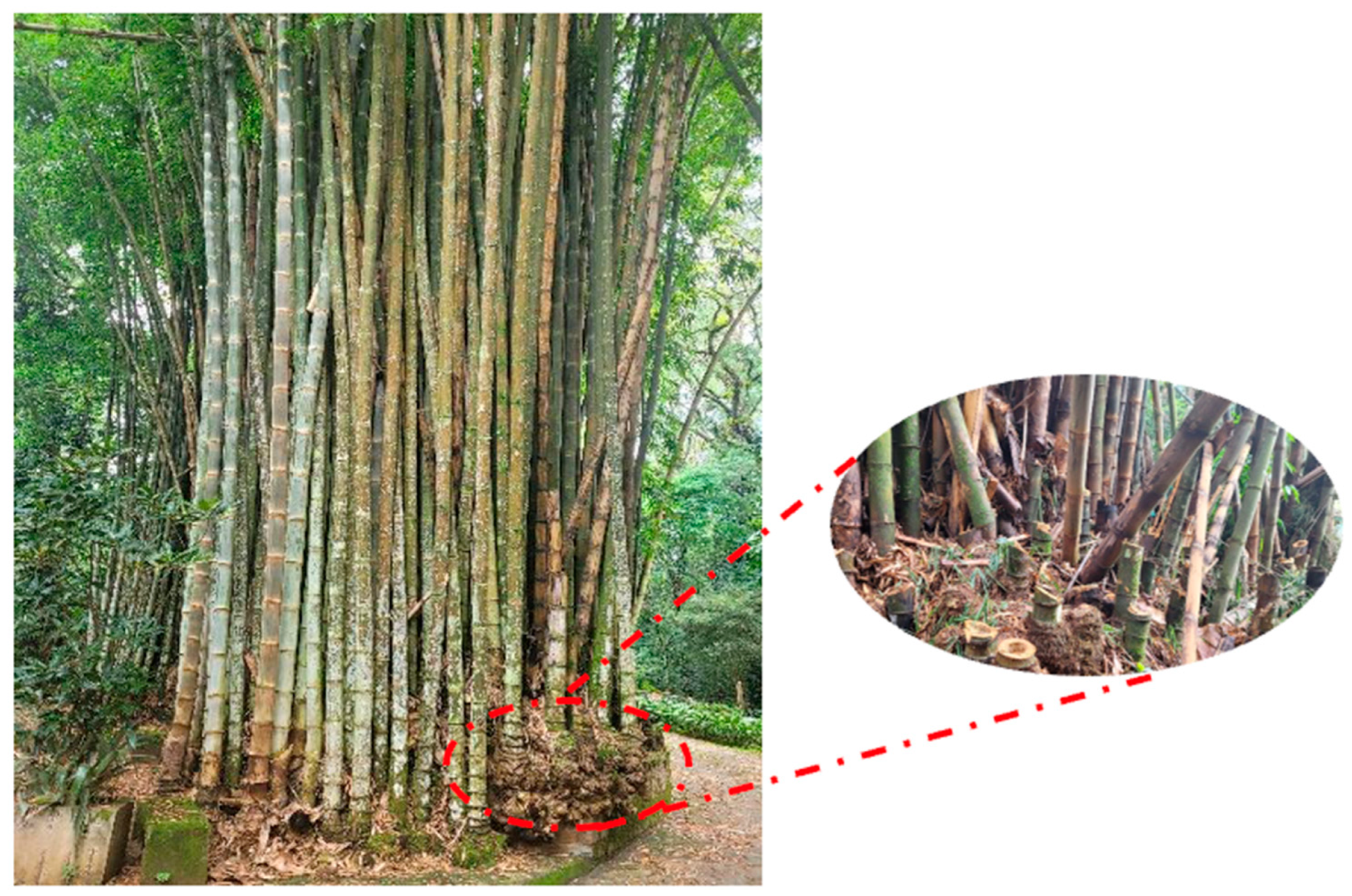 Sustainability 17 01575 g010