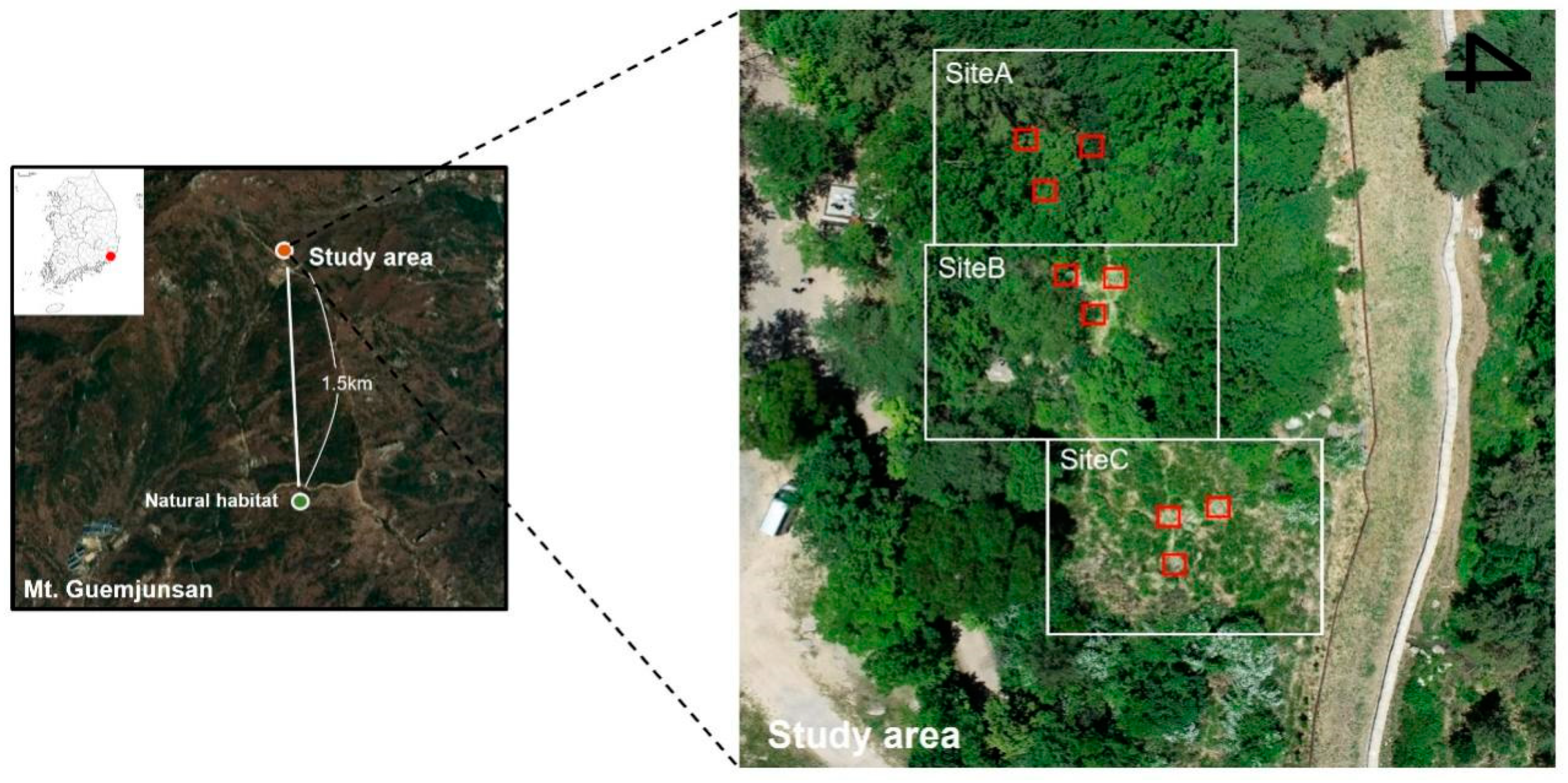 Sustainability 17 01585 g001