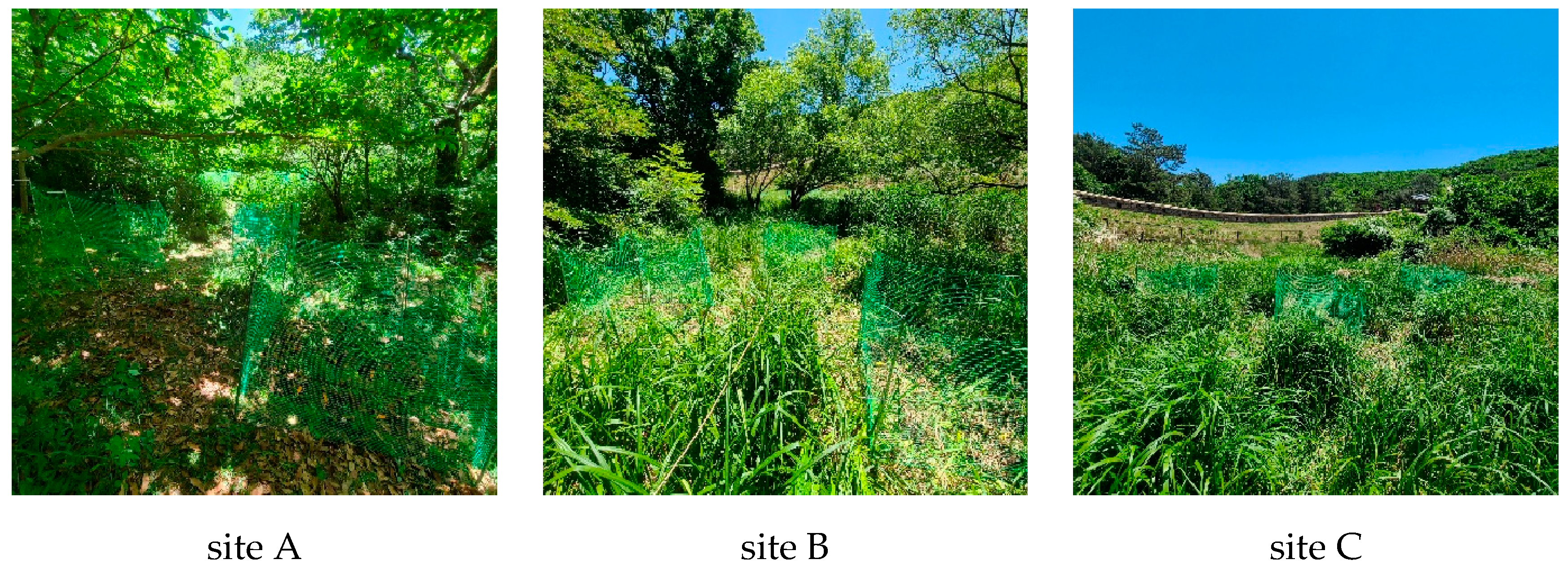 Sustainability 17 01585 g002