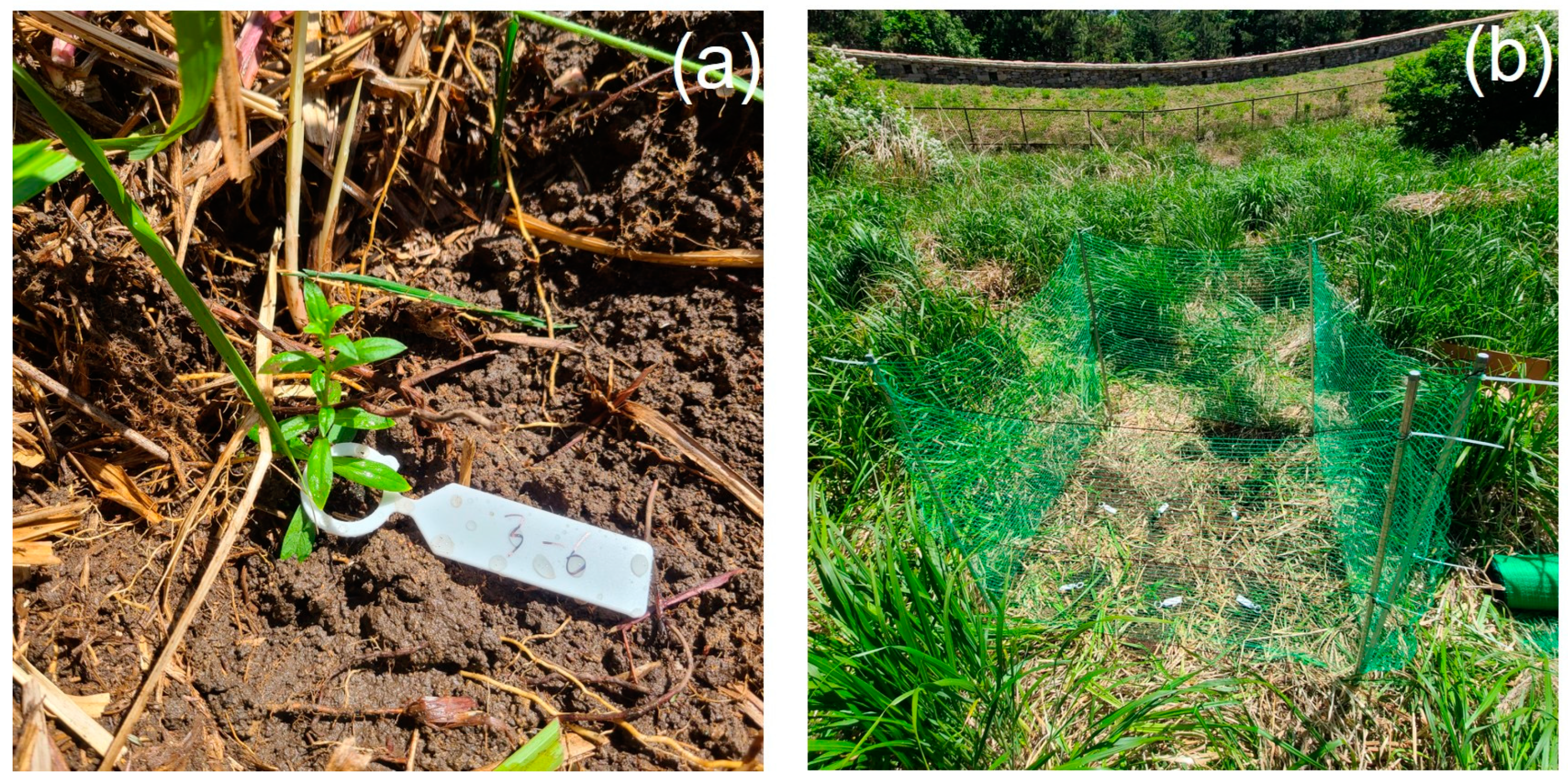 Sustainability 17 01585 g003