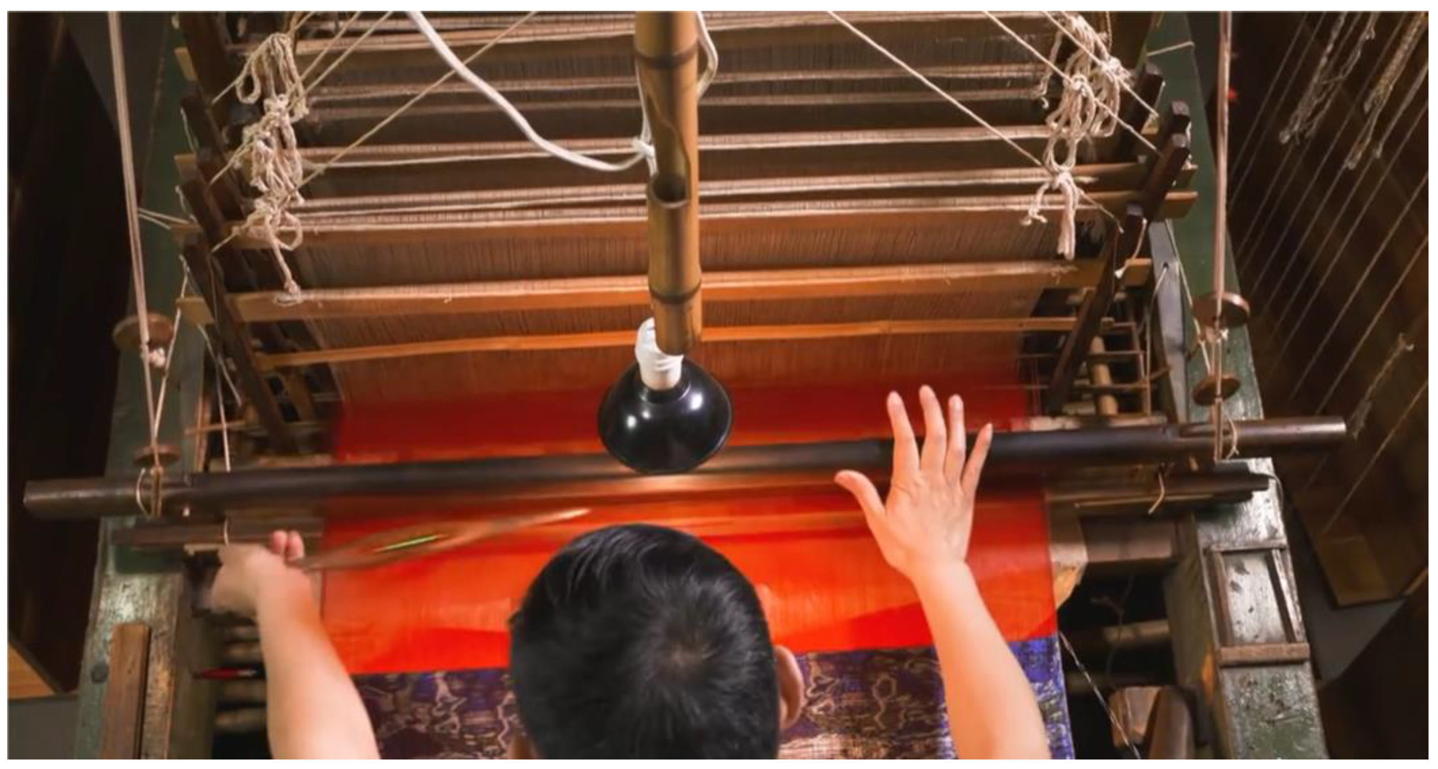 Sustainability 17 01593 g001