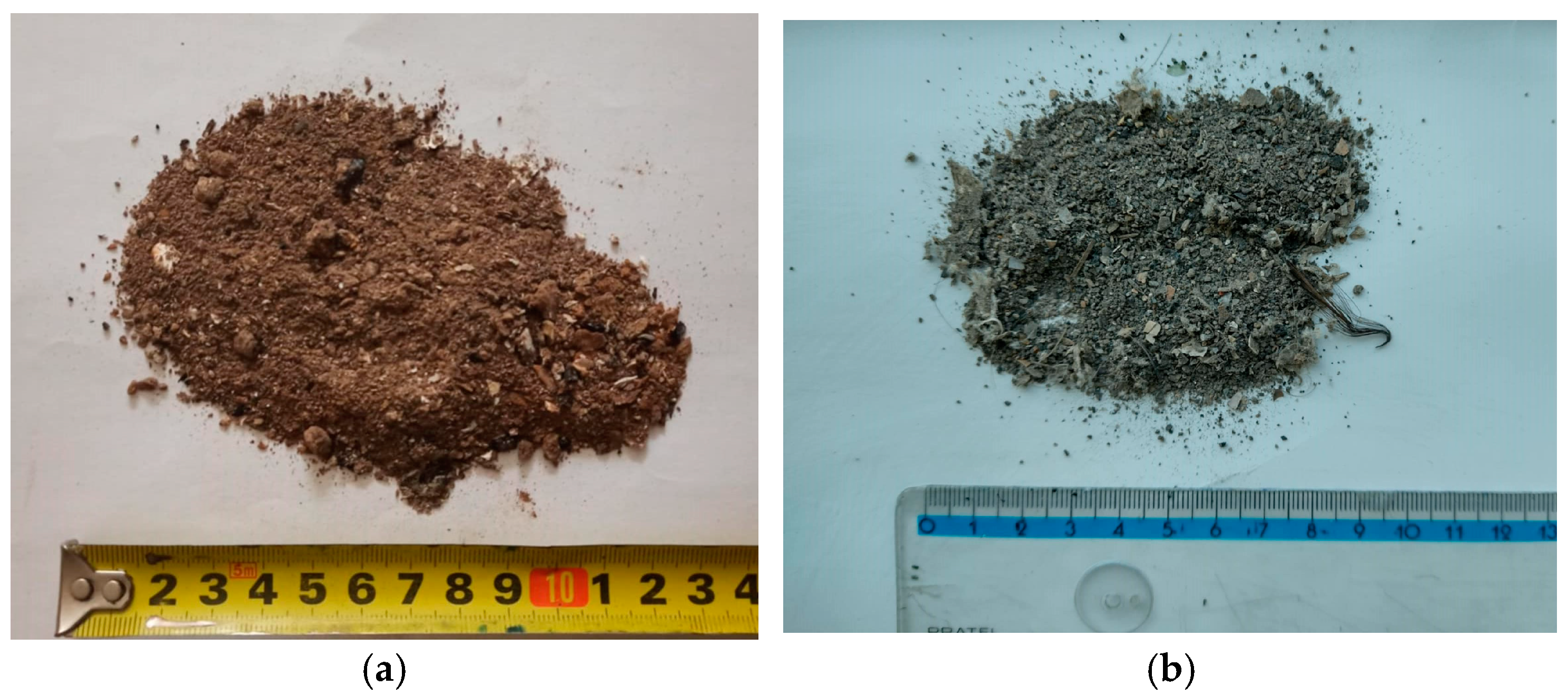 Sustainability 17 01612 g001a Sustainability 17 01612 g001a