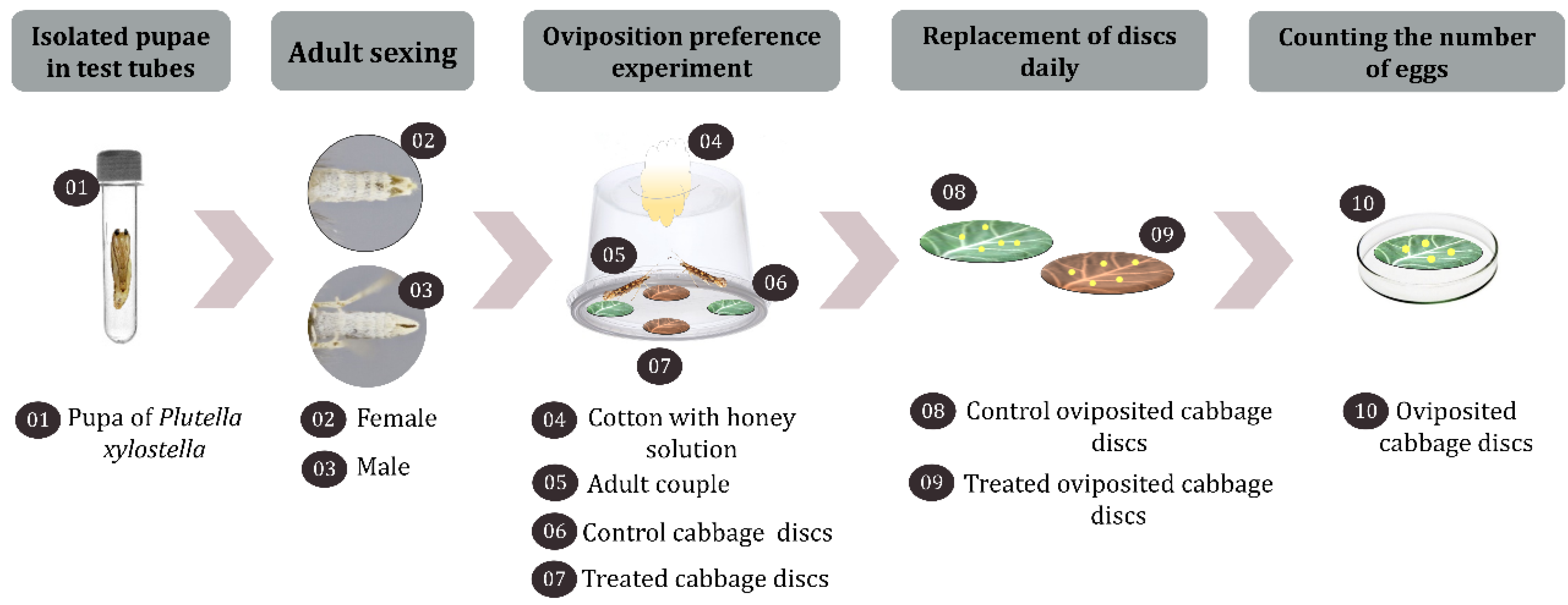 Sustainability 17 01626 g002