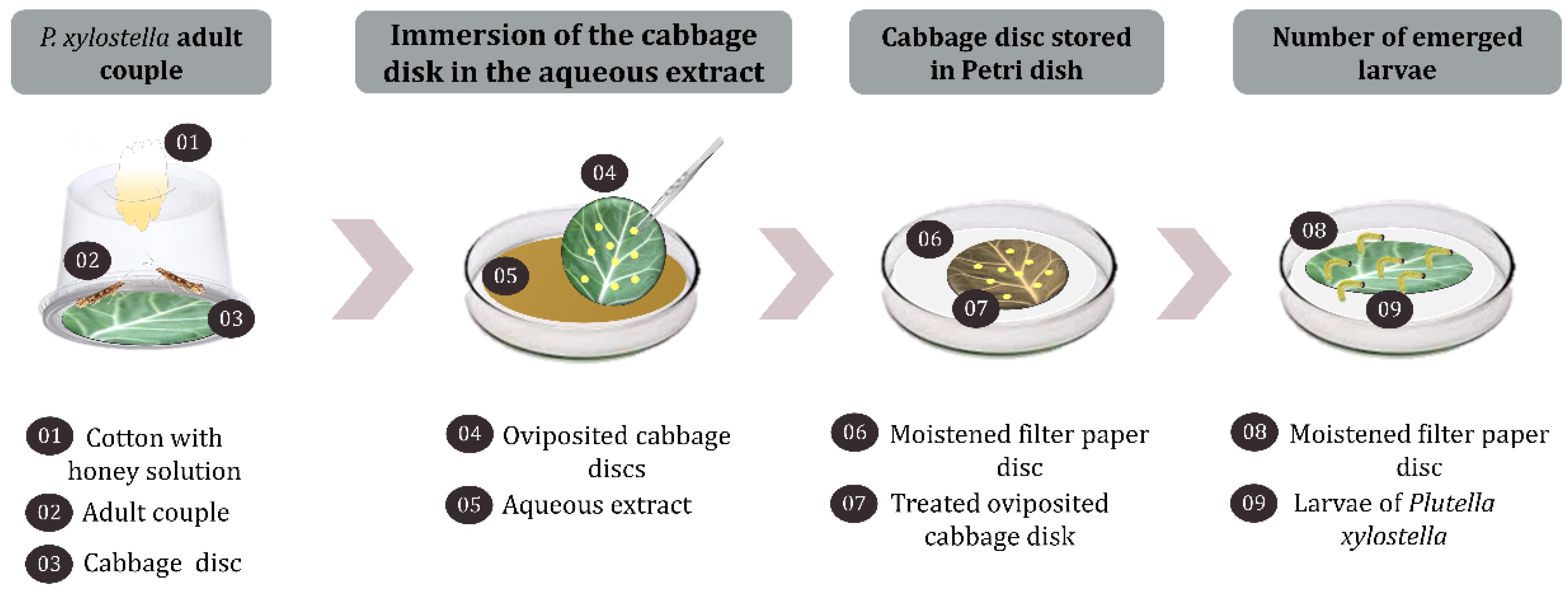 Sustainability 17 01626 g003