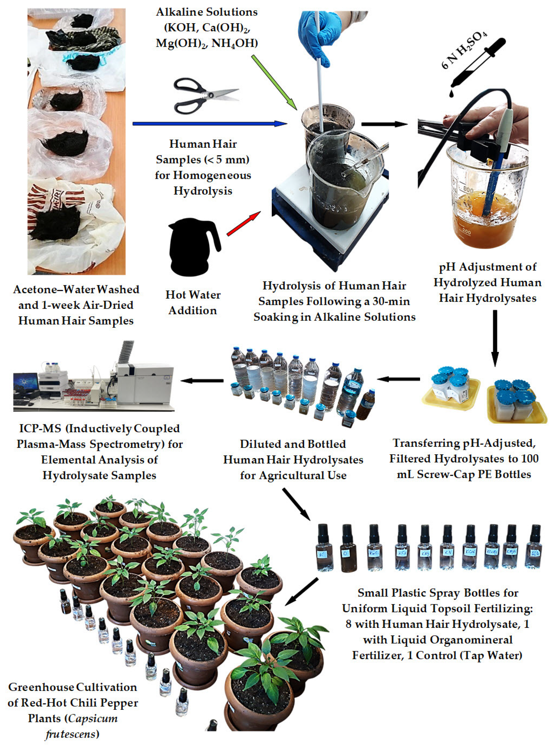 Sustainability 17 01641 g001