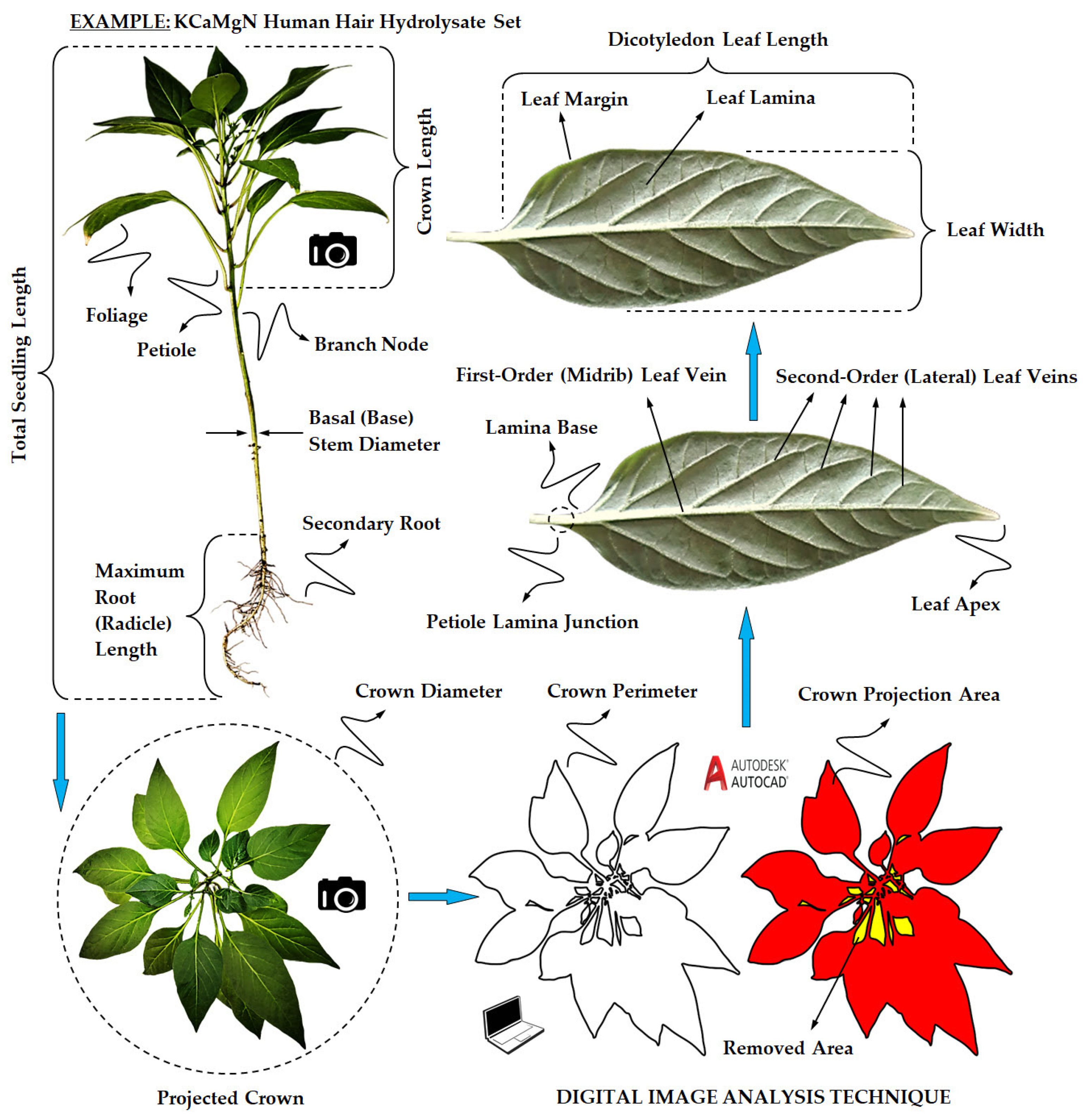 Sustainability 17 01641 g003