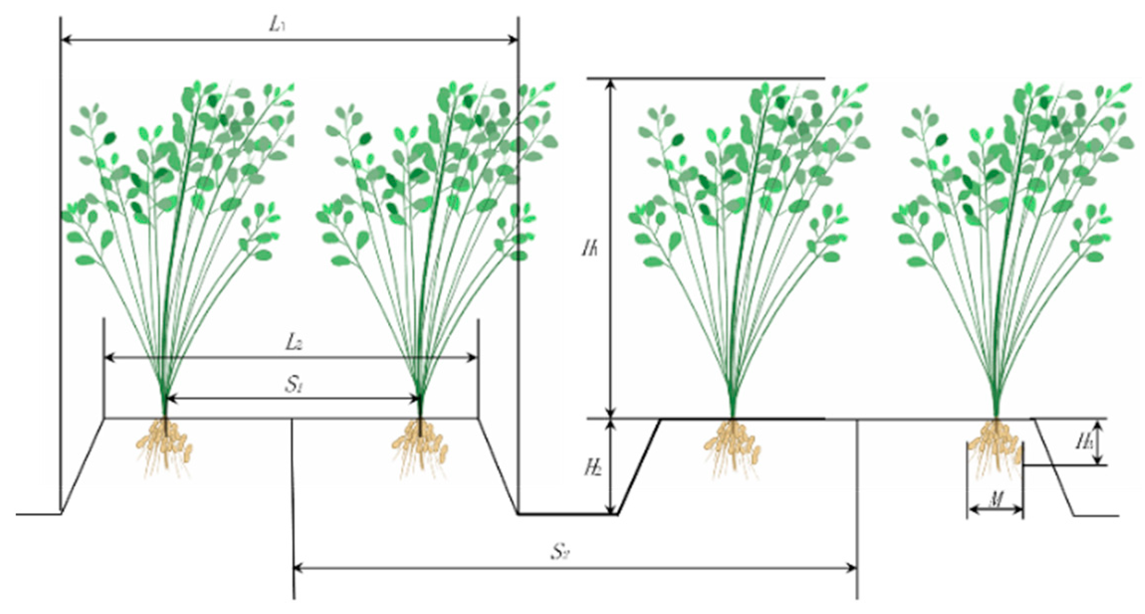 Sustainability 17 01708 g004