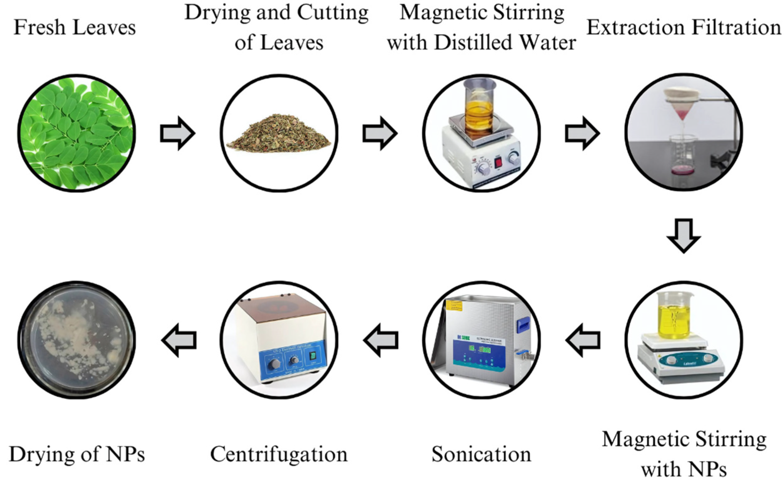 Sustainability 17 01740 g005