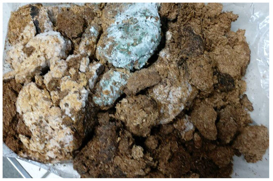 Spent Mushroom Substrate as a Renewable Energy Resource