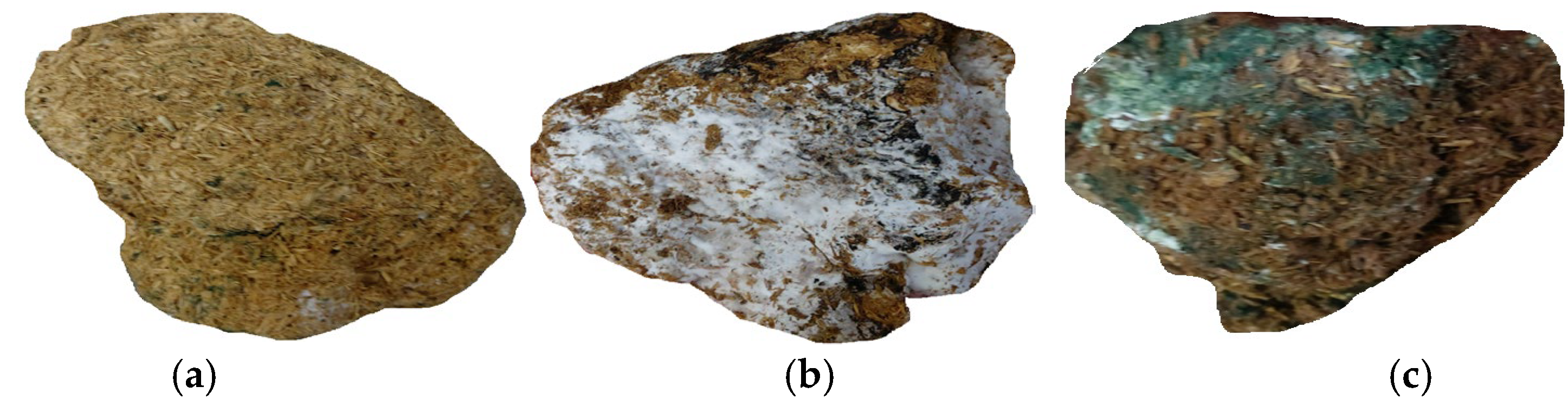 Sustainability 17 01800 g004