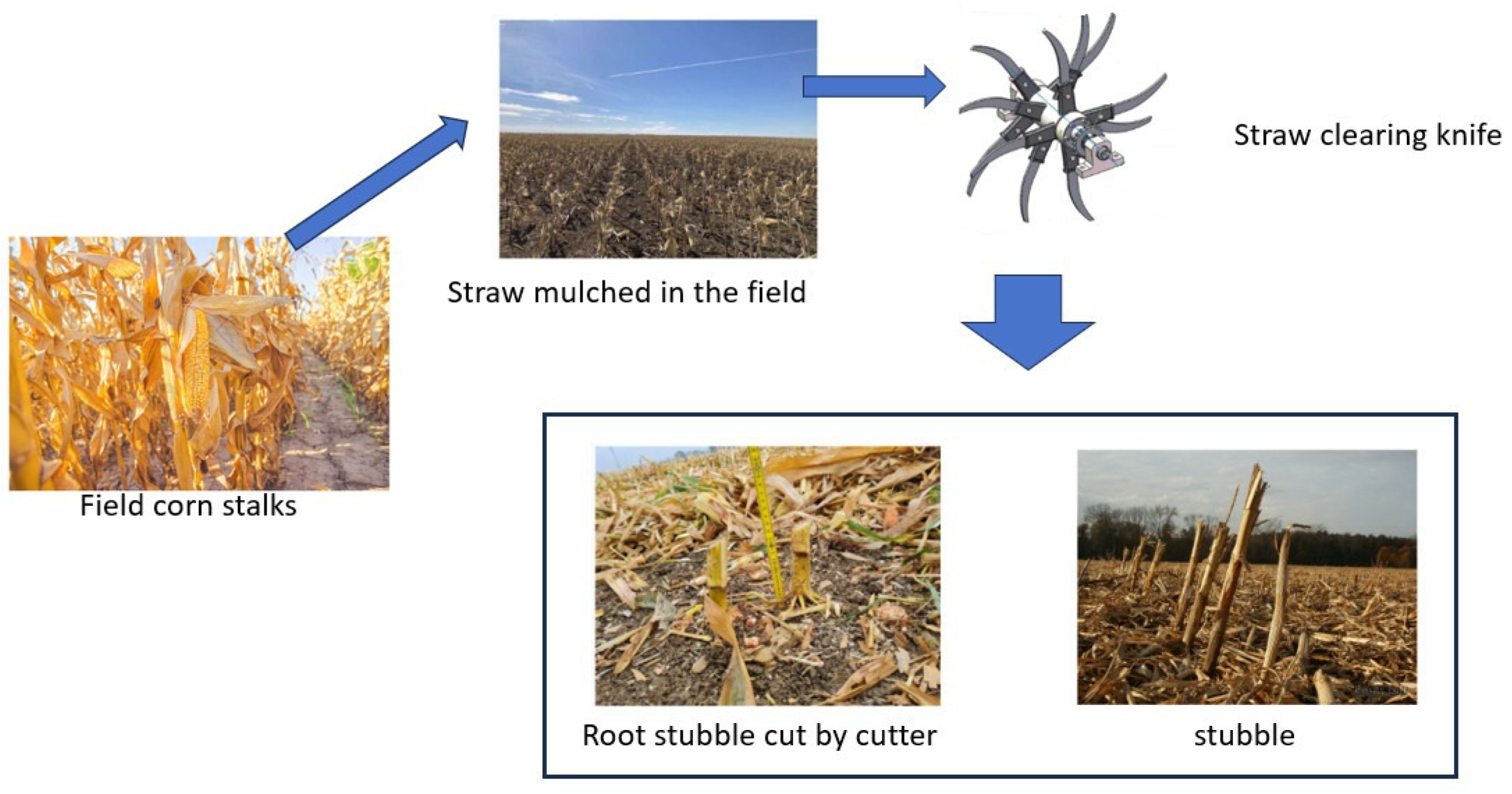 Sustainability 17 01808 g005