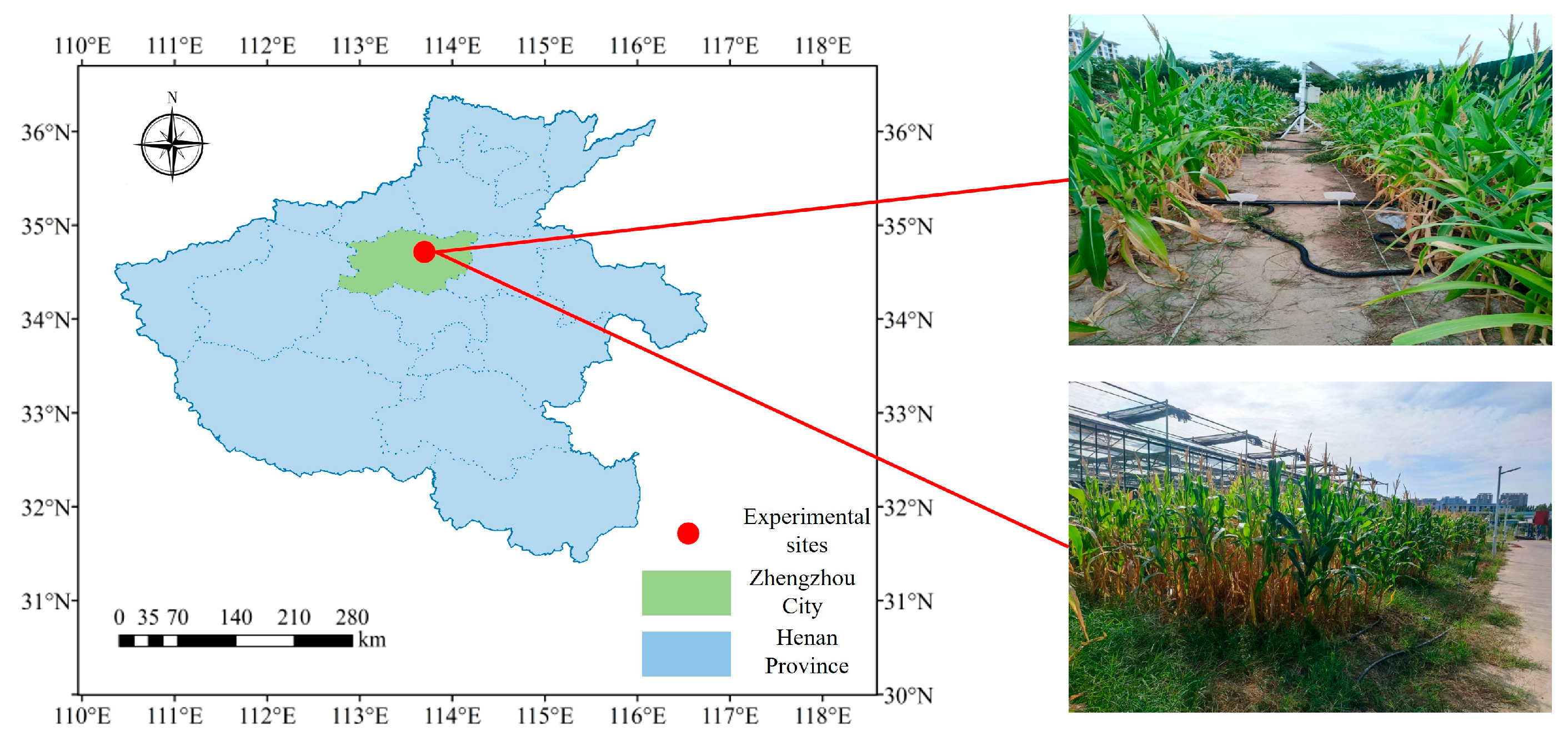 Research on Summer Maize Irrigation and Fertilization Research on Summer Maize Irrigation and Fertilization