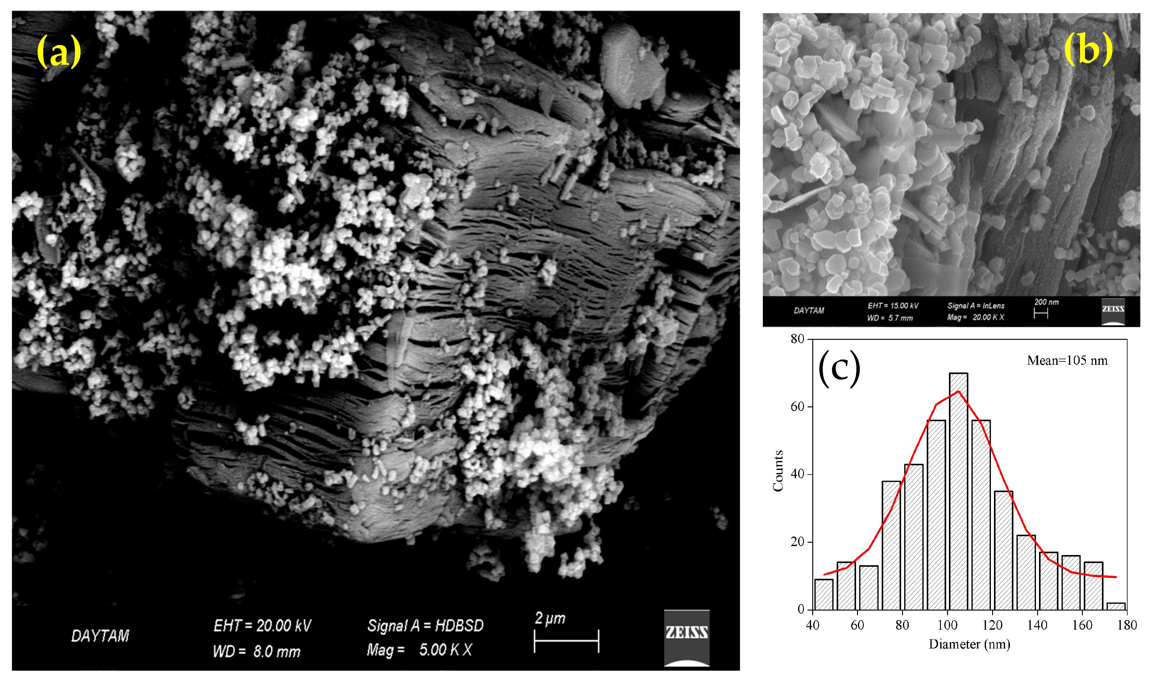 Sustainability 17 01904 g005